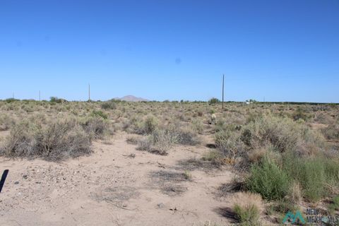 Vacant Land For Sale - Lucca Rd Sw<br/> Deming, NM 88030