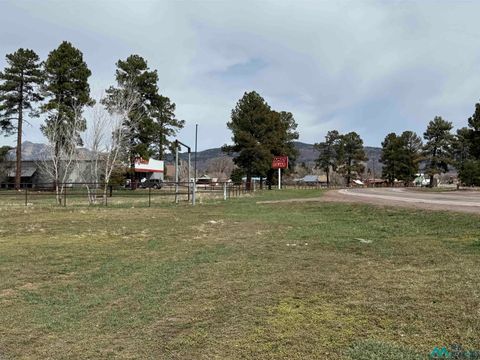 Vacant Land For Sale - 1000 N Nmsr 17 Road<br/> Rio Arriba County, Chama, NM 87520