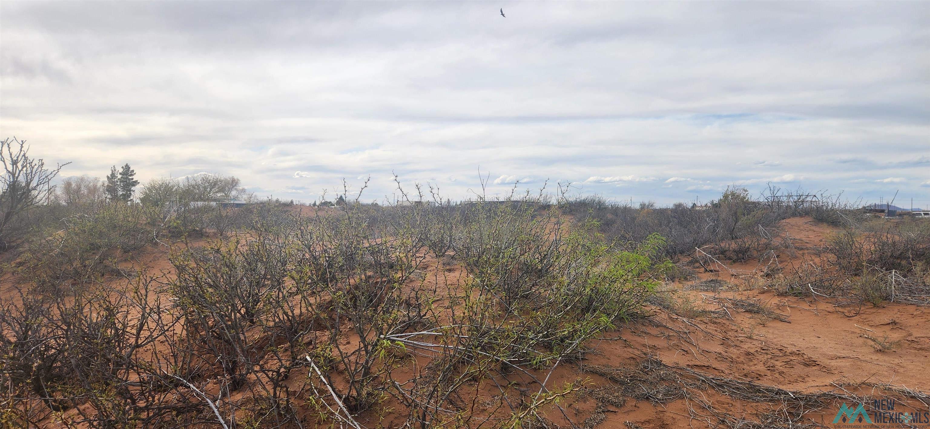 5297 NE Antelope Trail, Deming, New Mexico image 3