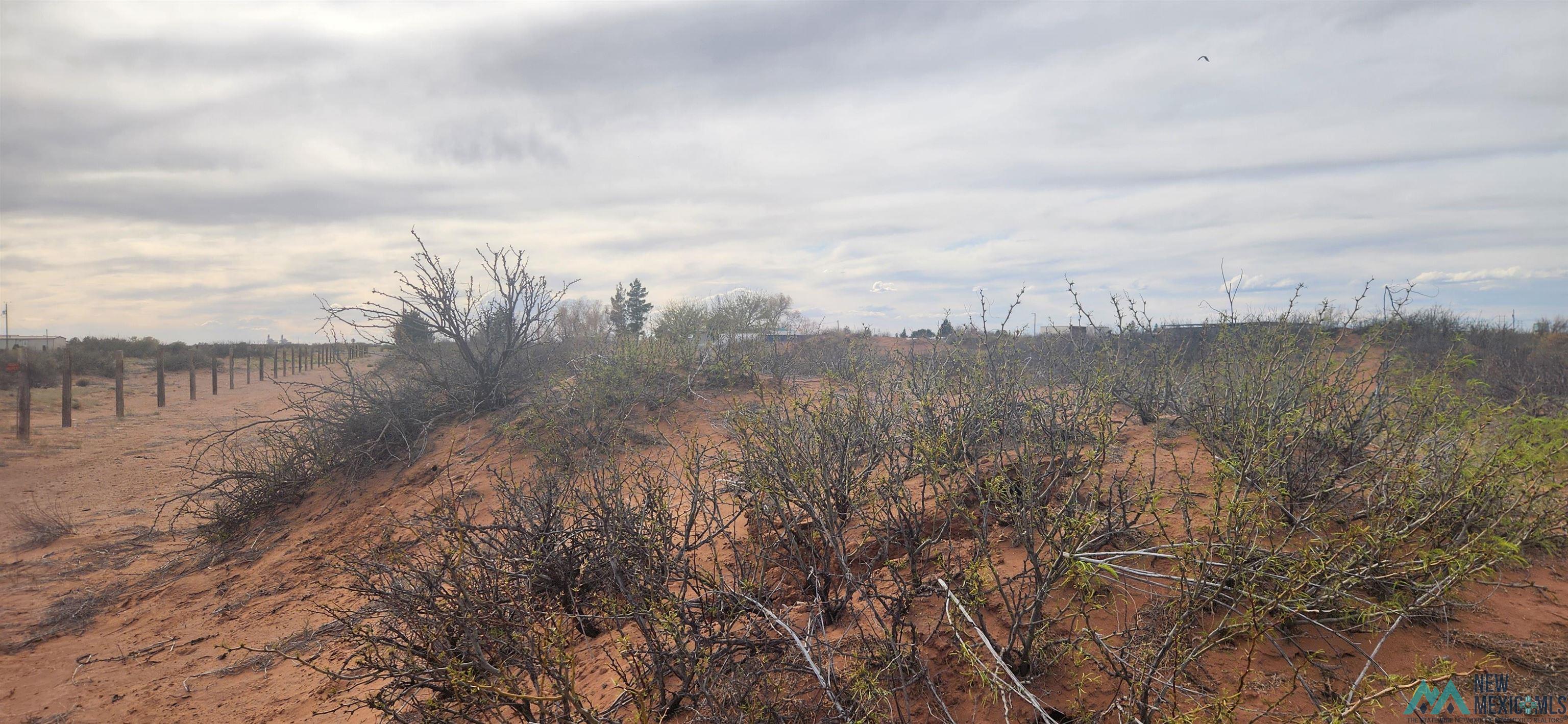 5297 NE Antelope Trail, Deming, New Mexico image 5