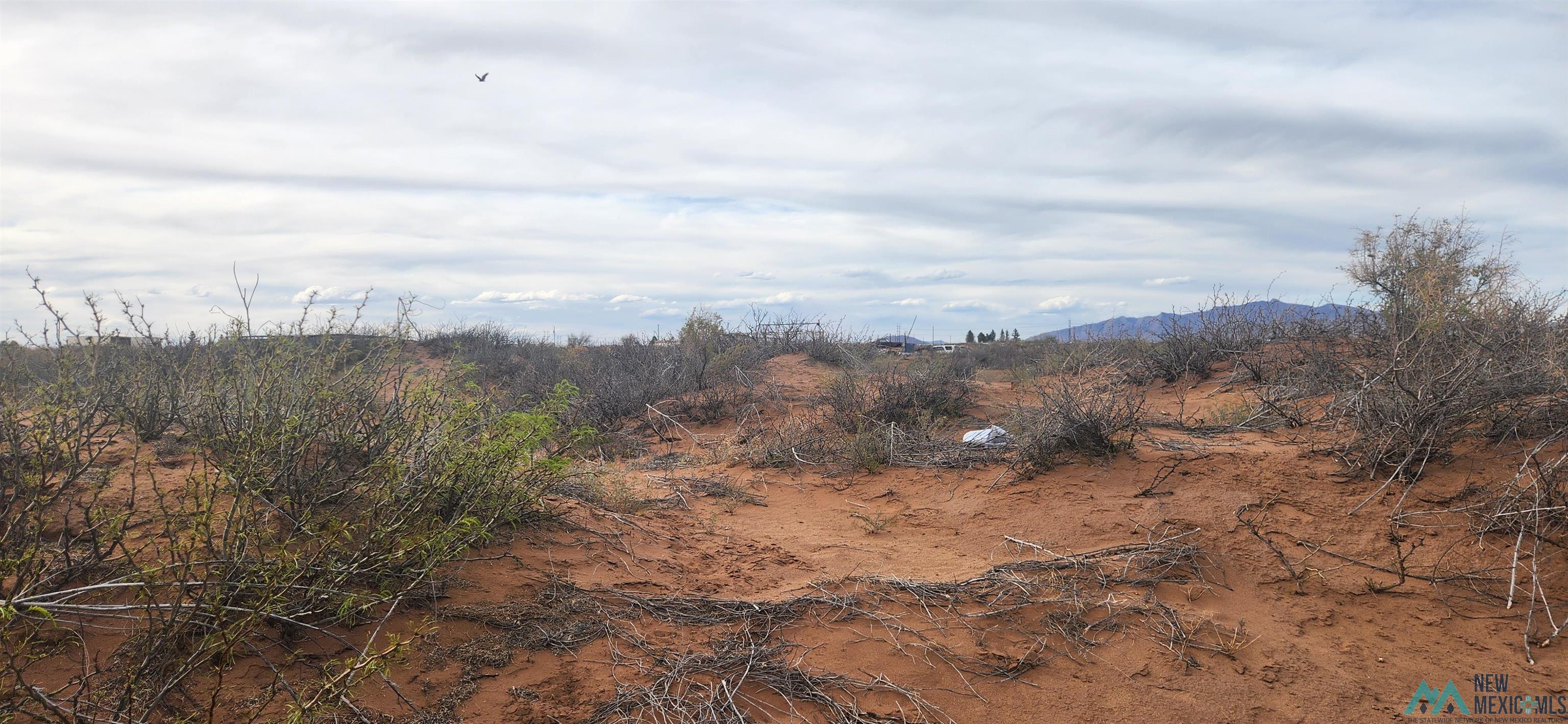 5297 NE Antelope Trail, Deming, New Mexico image 4