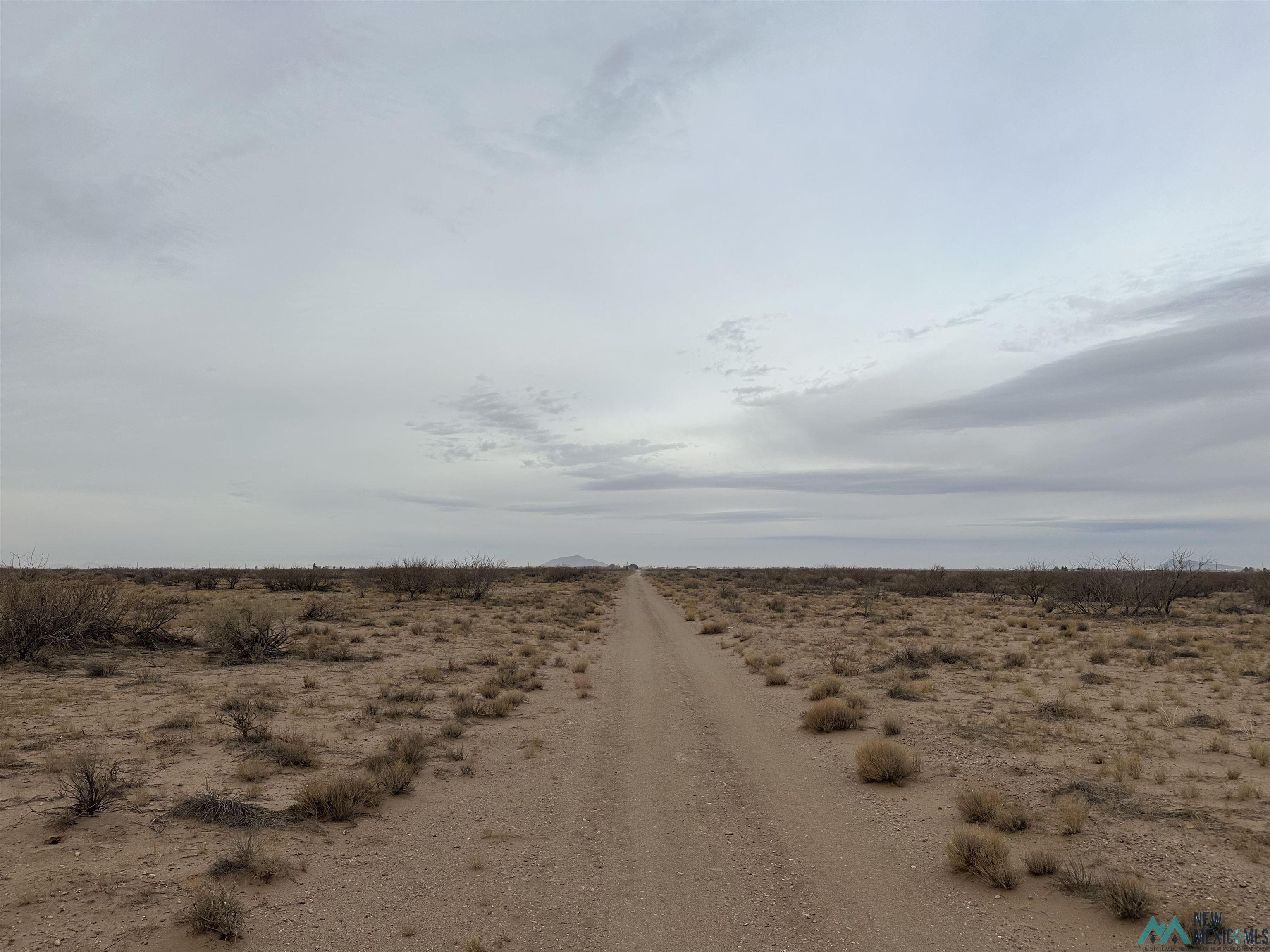 XXXX E Rosa Rd Se St, Deming, New Mexico image 11
