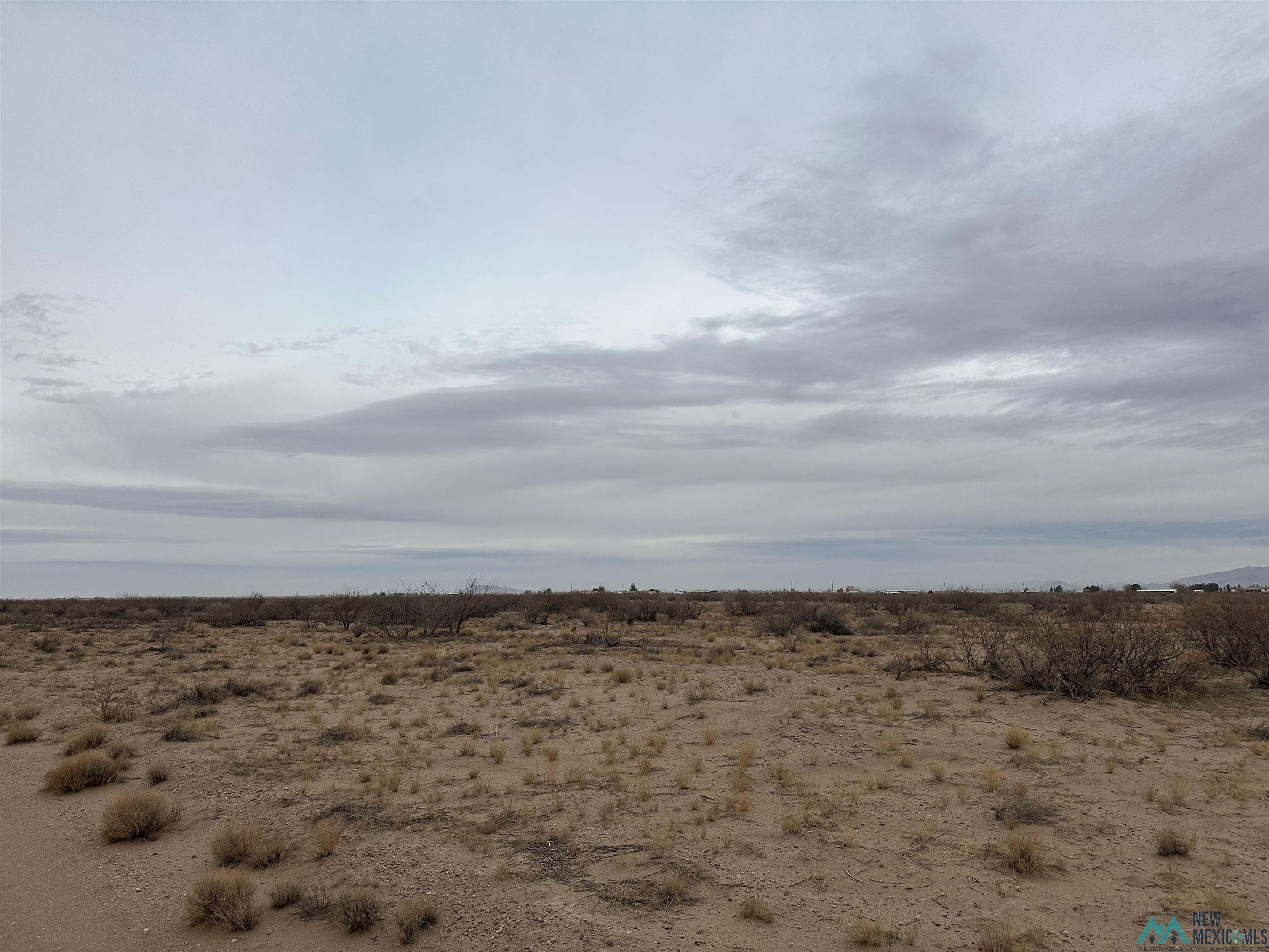 XXXX E Rosa Rd Se St, Deming, New Mexico image 8