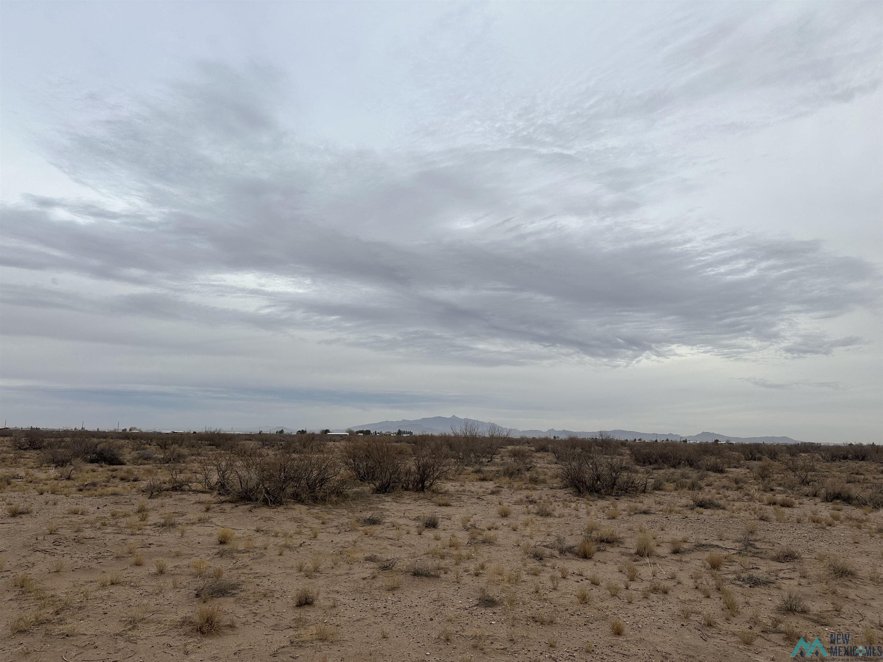 XXXX E Rosa Rd Se St, Deming, New Mexico image 9
