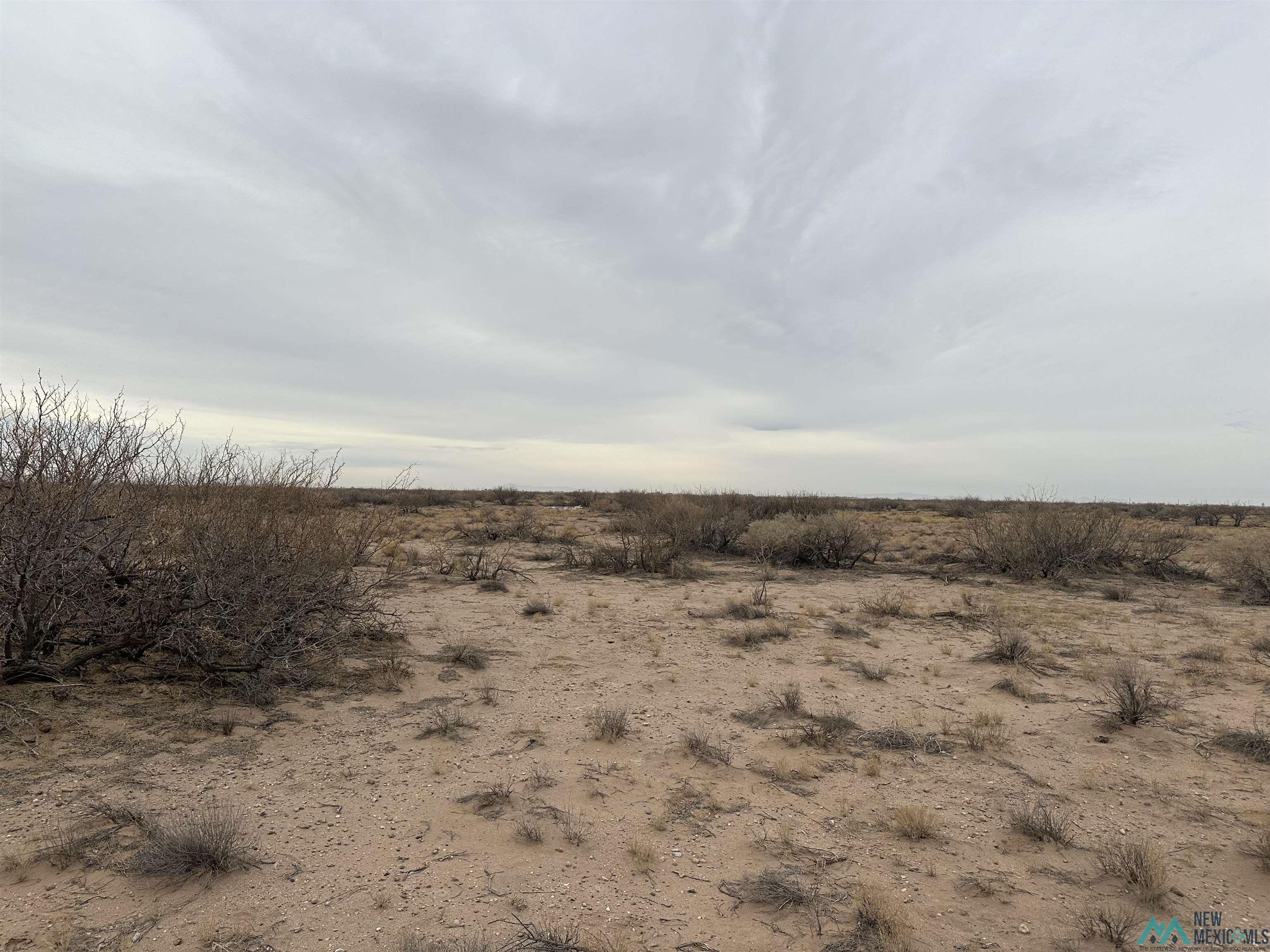 XXXX E Rosa Rd Se St, Deming, New Mexico image 10