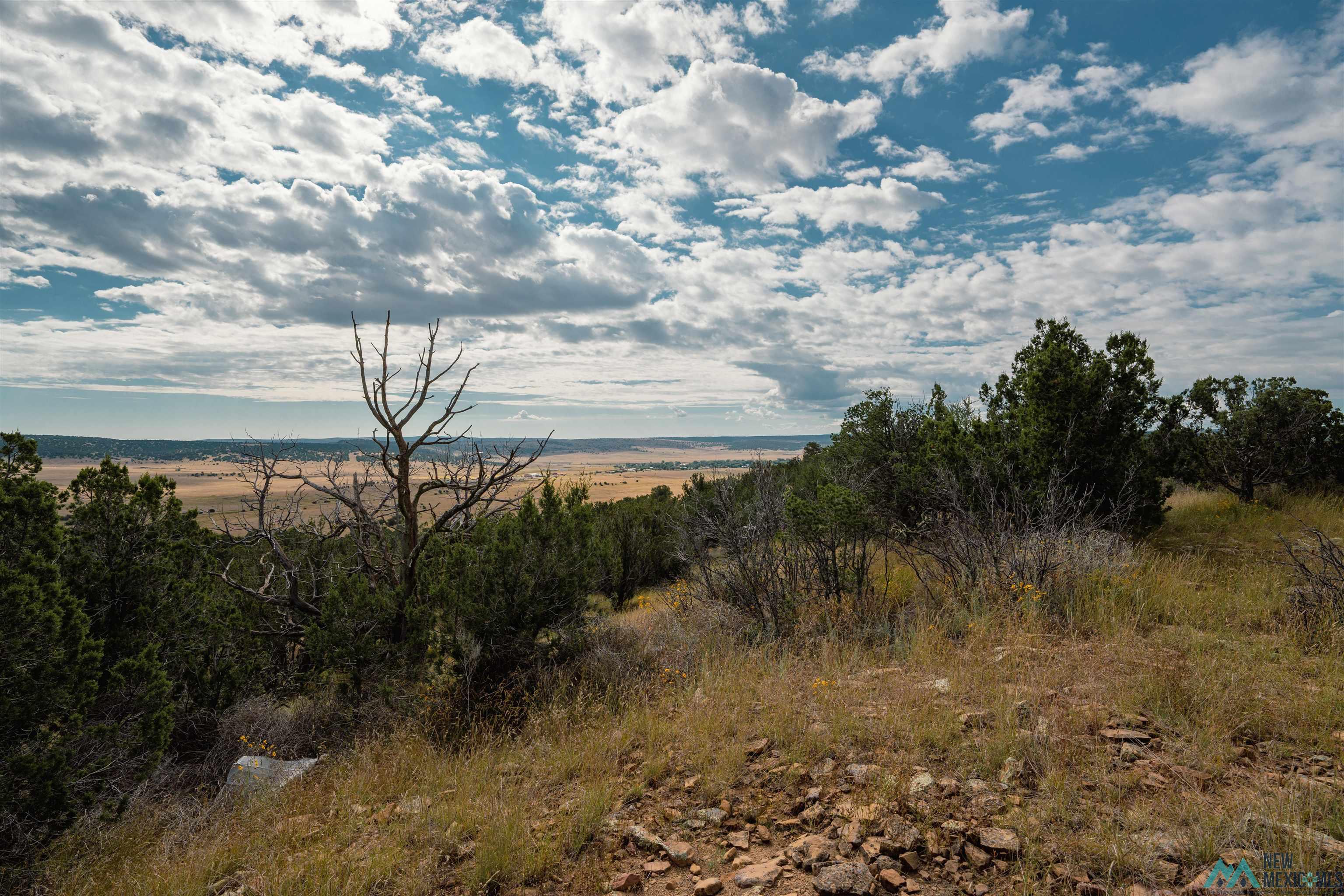 TBD 246 Highway, Capitan, Texas image 4