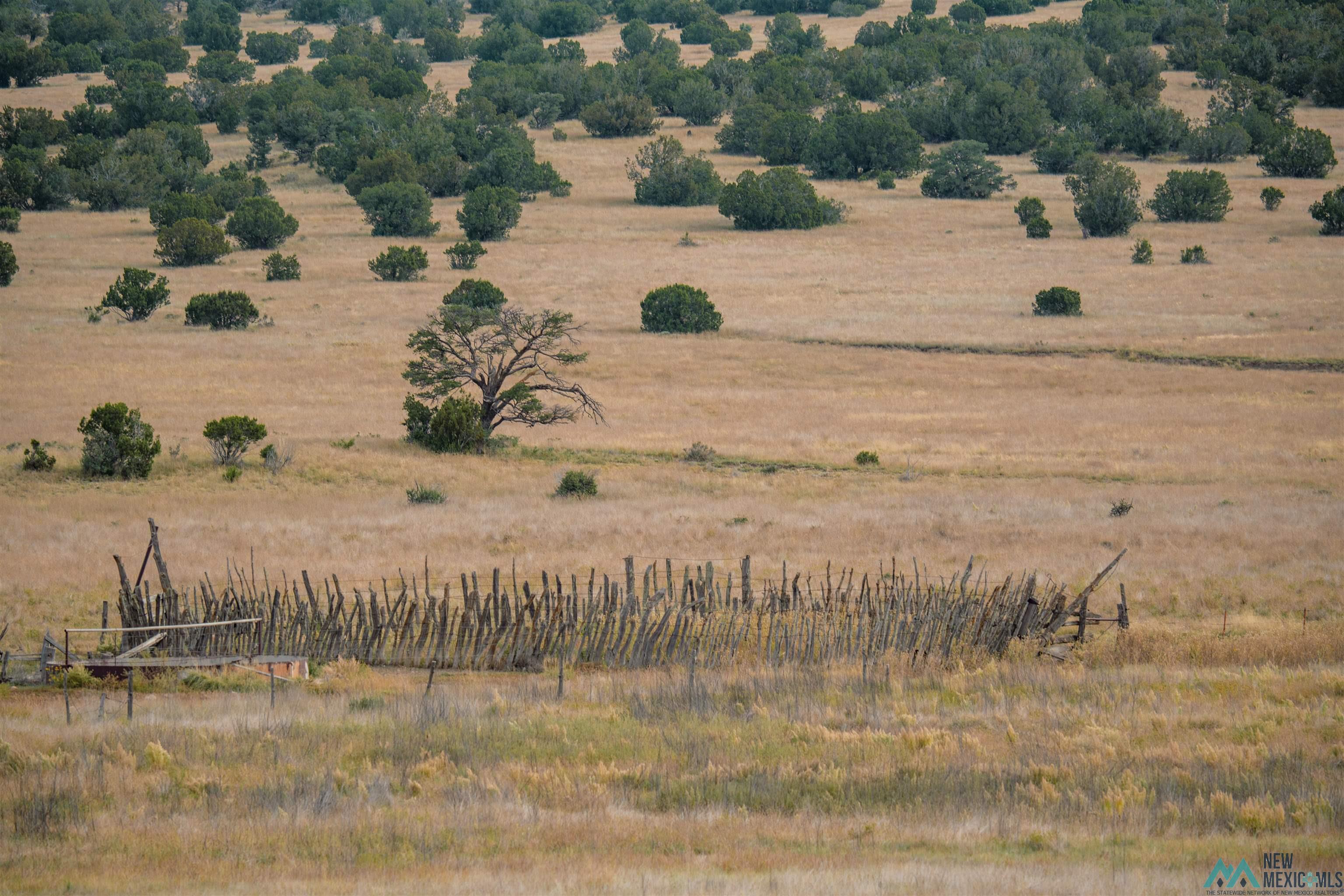 TBD 246 Highway, Capitan, Texas image 31