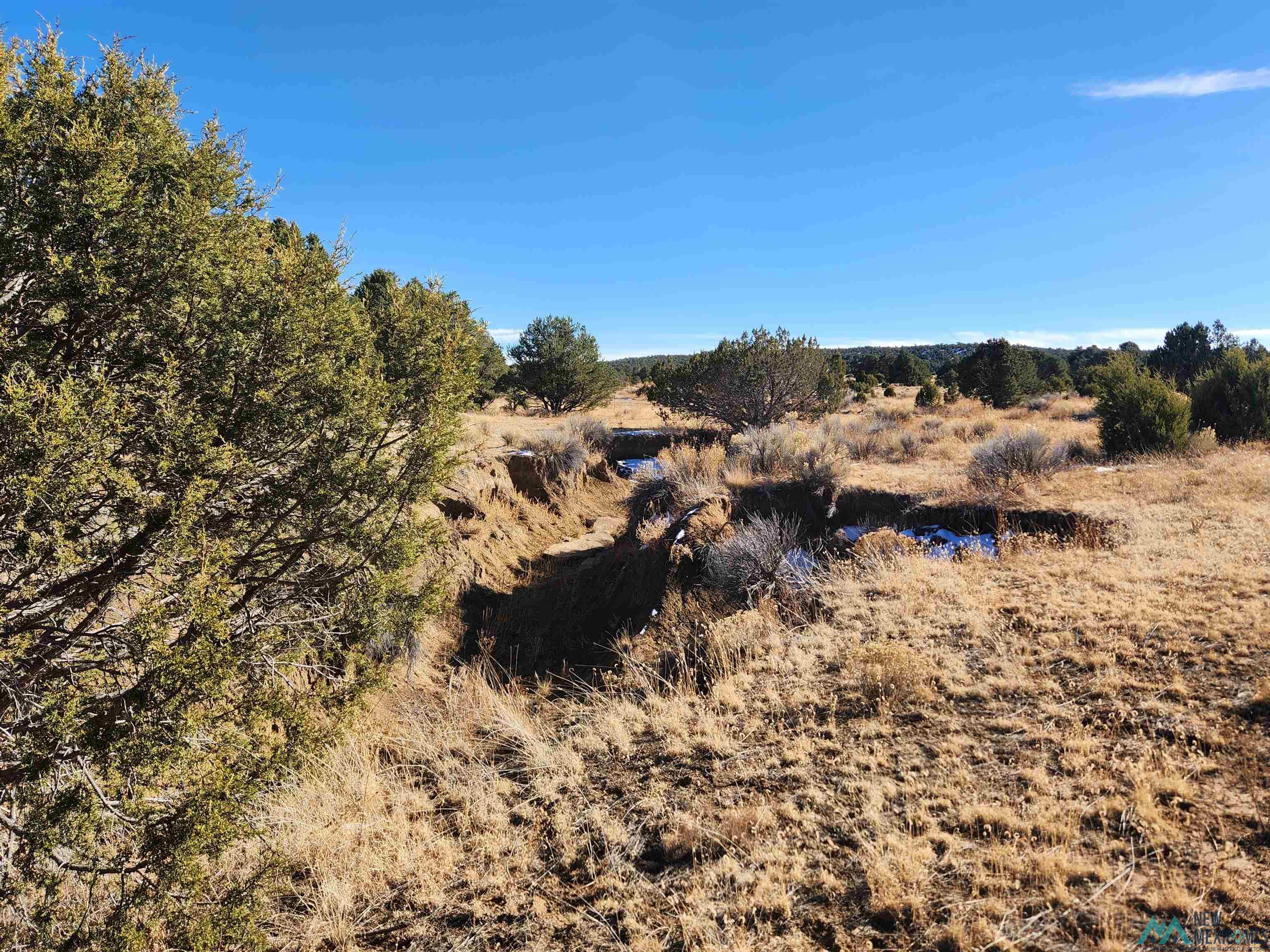 Ponderosa Ranches Road, Pie Town, New Mexico image 3