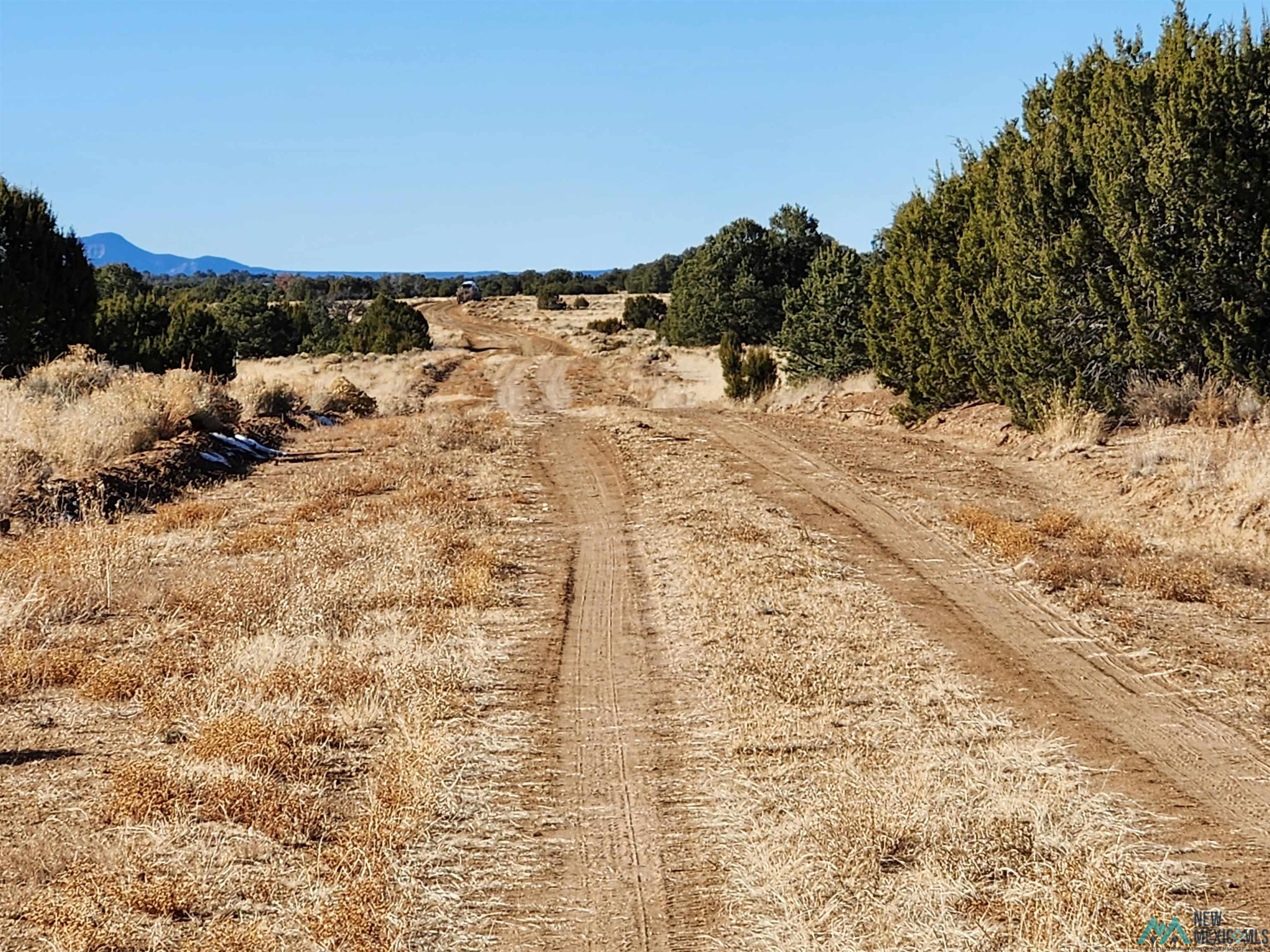 Ponderosa Ranches Road, Pie Town, New Mexico image 5