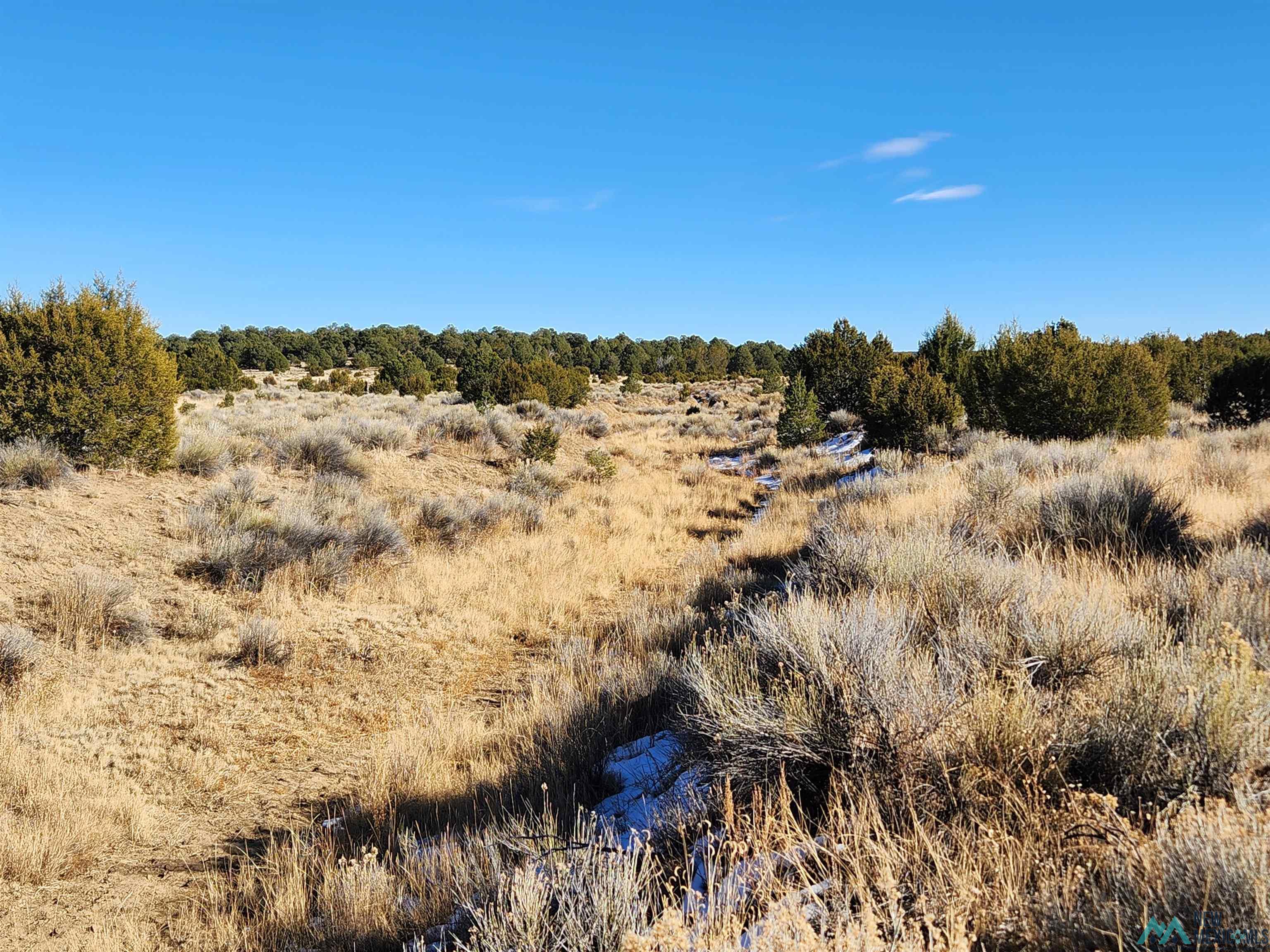 Ponderosa Ranches Road, Pie Town, New Mexico image 7