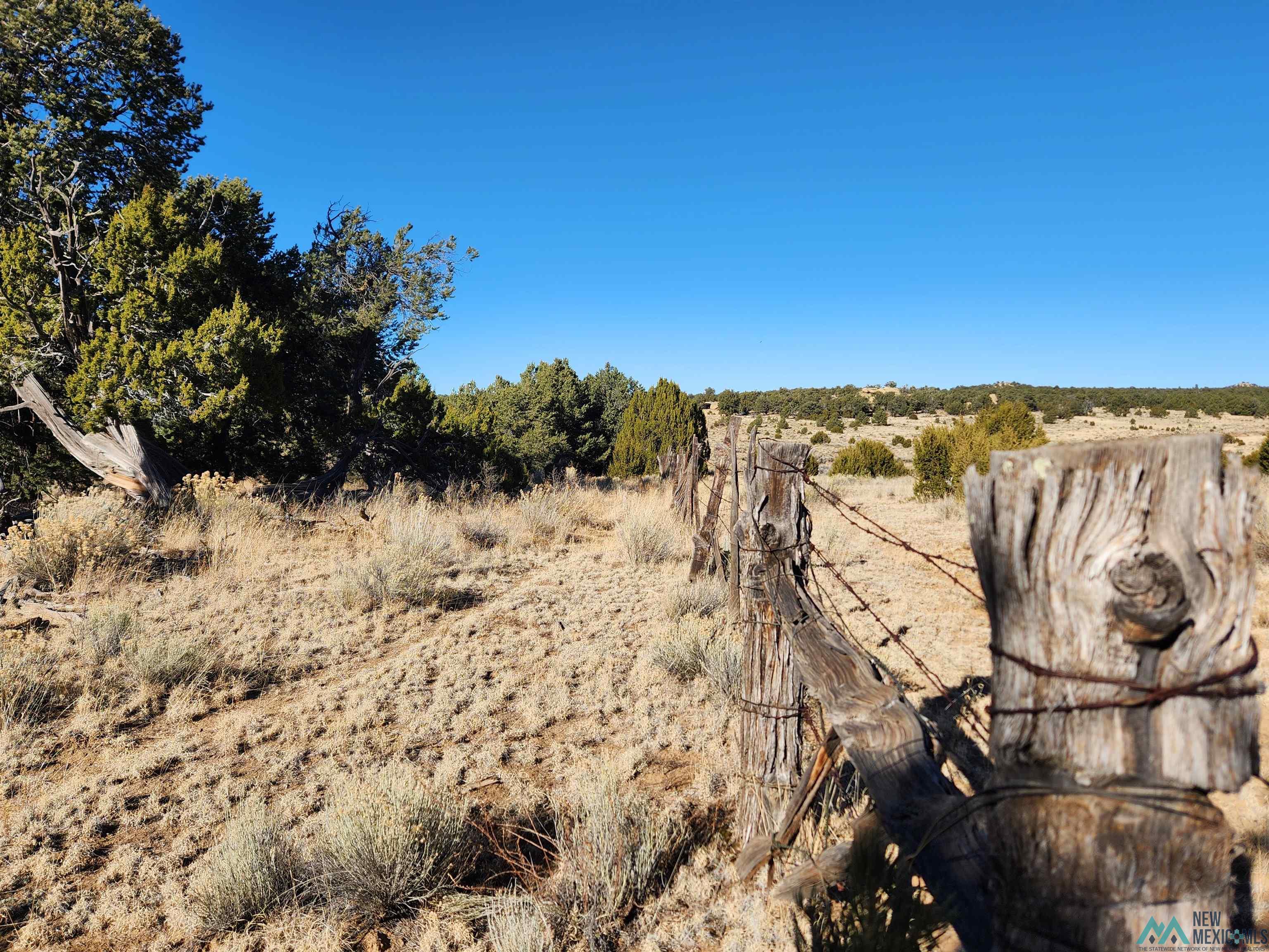 Ponderosa Ranches Road, Pie Town, New Mexico image 2