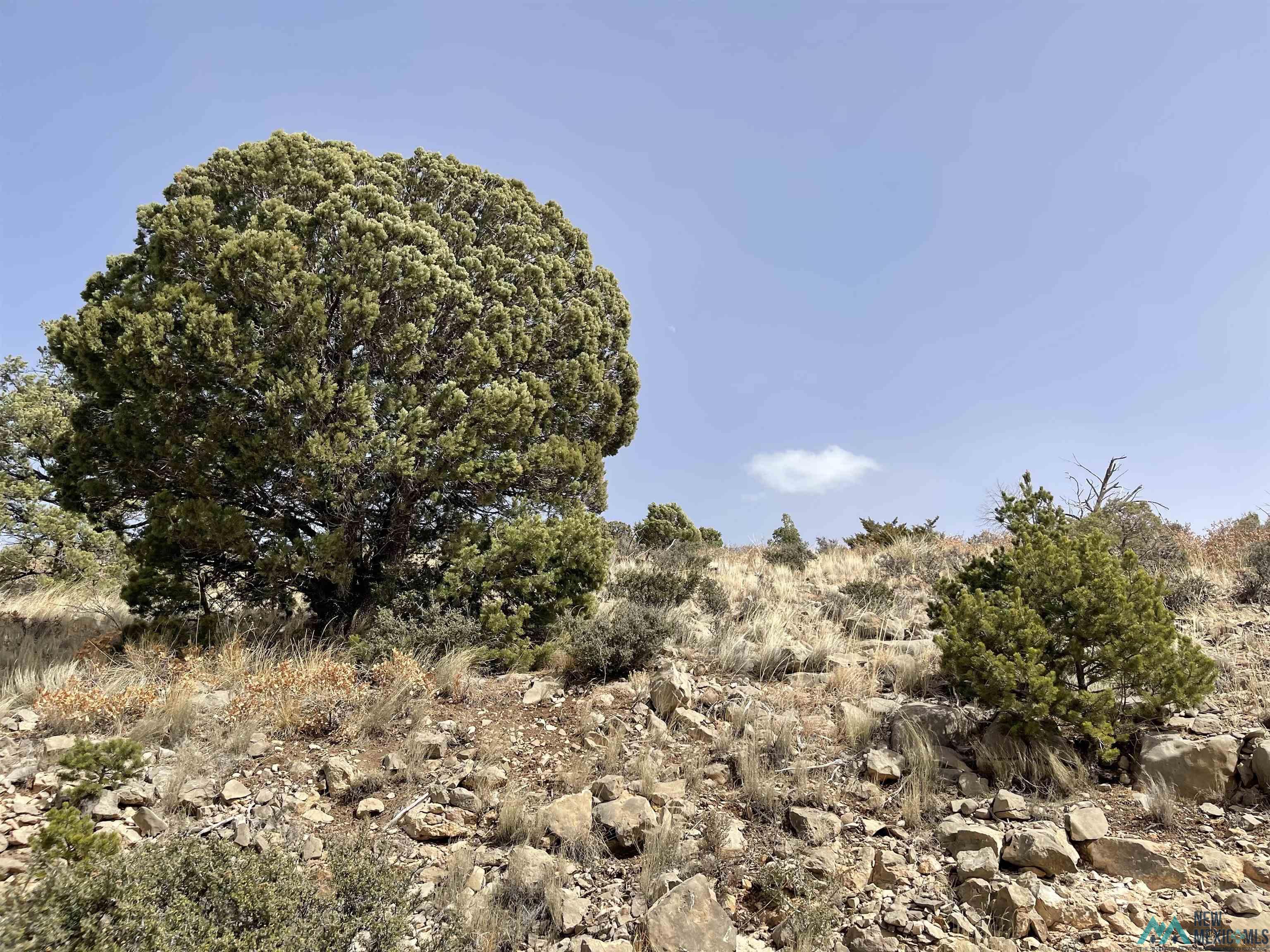 429 Perch Drive, Timberon, New Mexico image 3