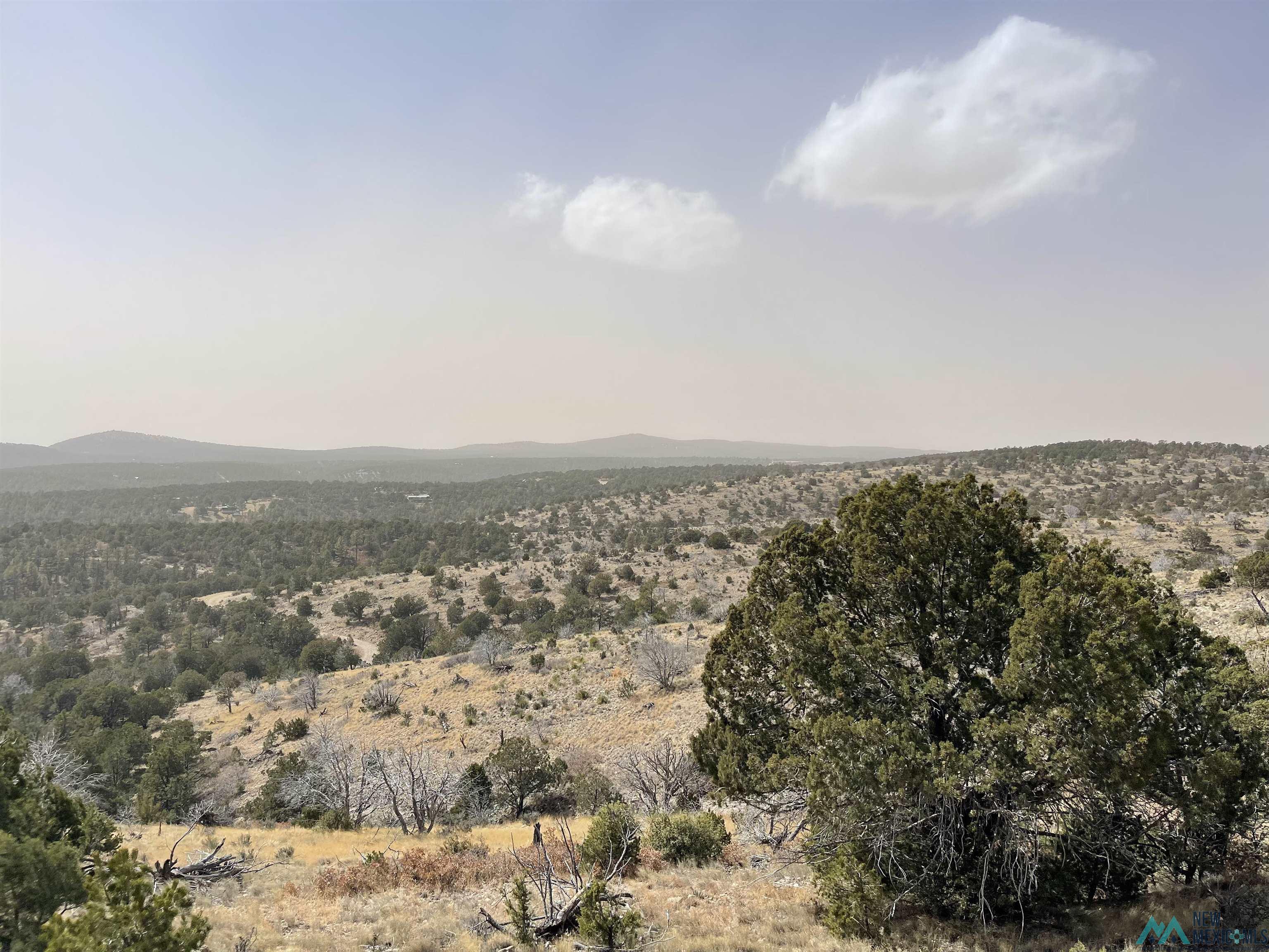 429 Perch Drive, Timberon, New Mexico image 5