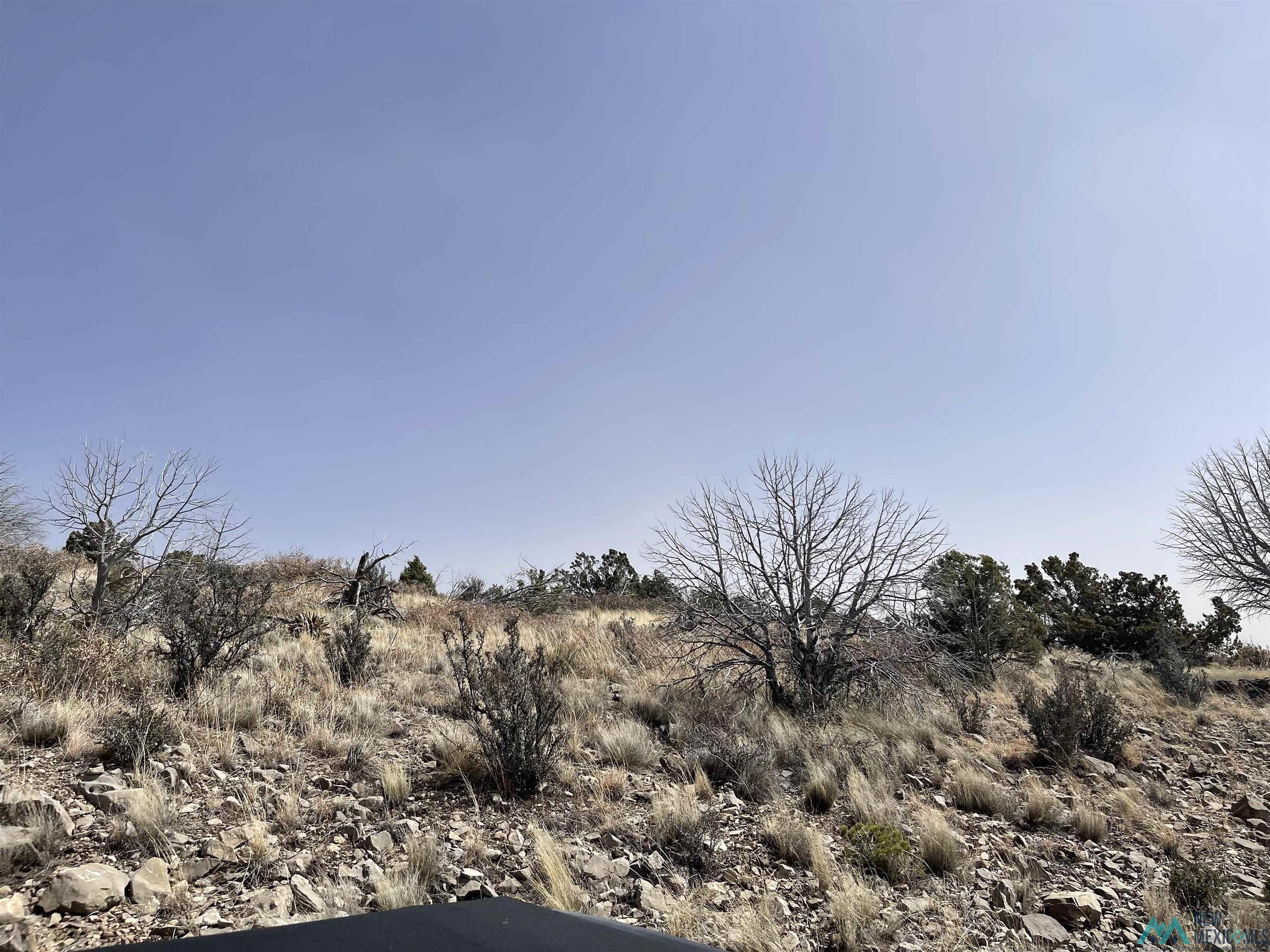 429 Perch Drive, Timberon, New Mexico image 1