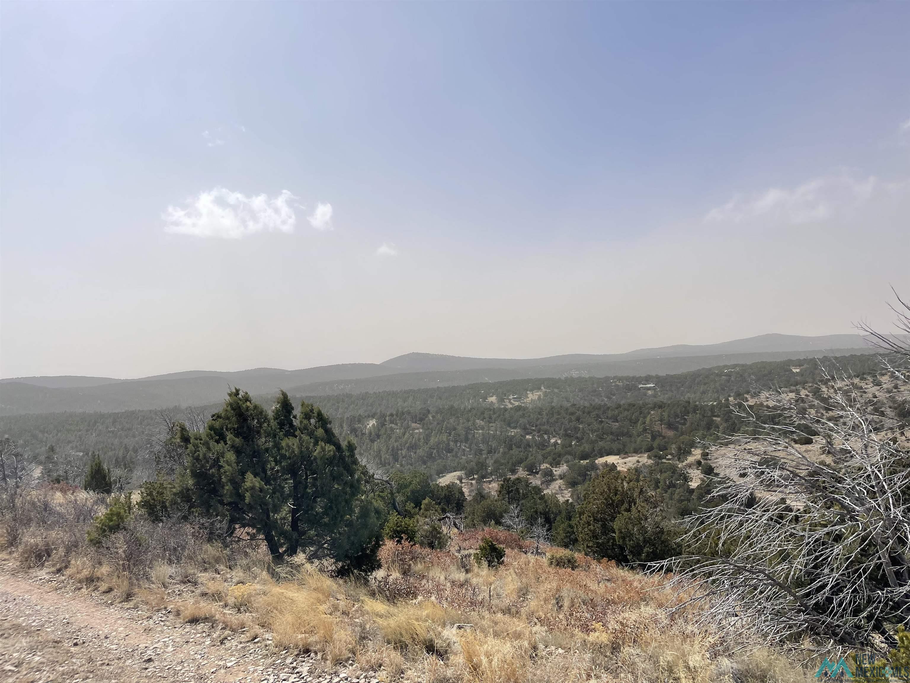 429 Perch Drive, Timberon, New Mexico image 2