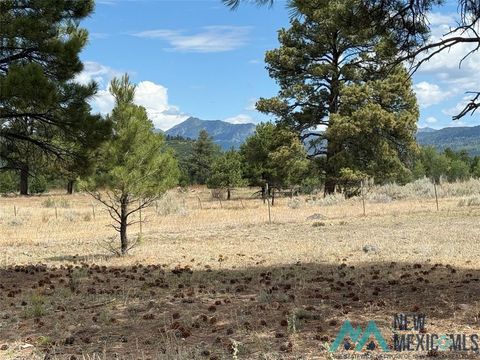 Vacant Land For Sale - Thistle Drive<br/> Rio Arriba County, Chama, NM 87520