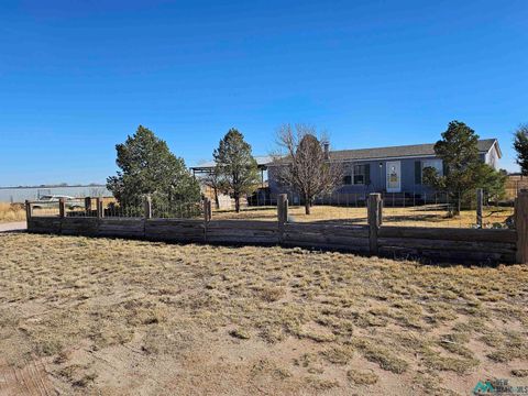 Homes For Sale - 43 W Leman Road<br/> Lovington, NM 88260