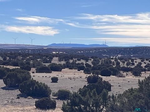 Vacant Land For Sale - LOT 166 Deer Circle<br/> Catron County, Quemado, NM 87829