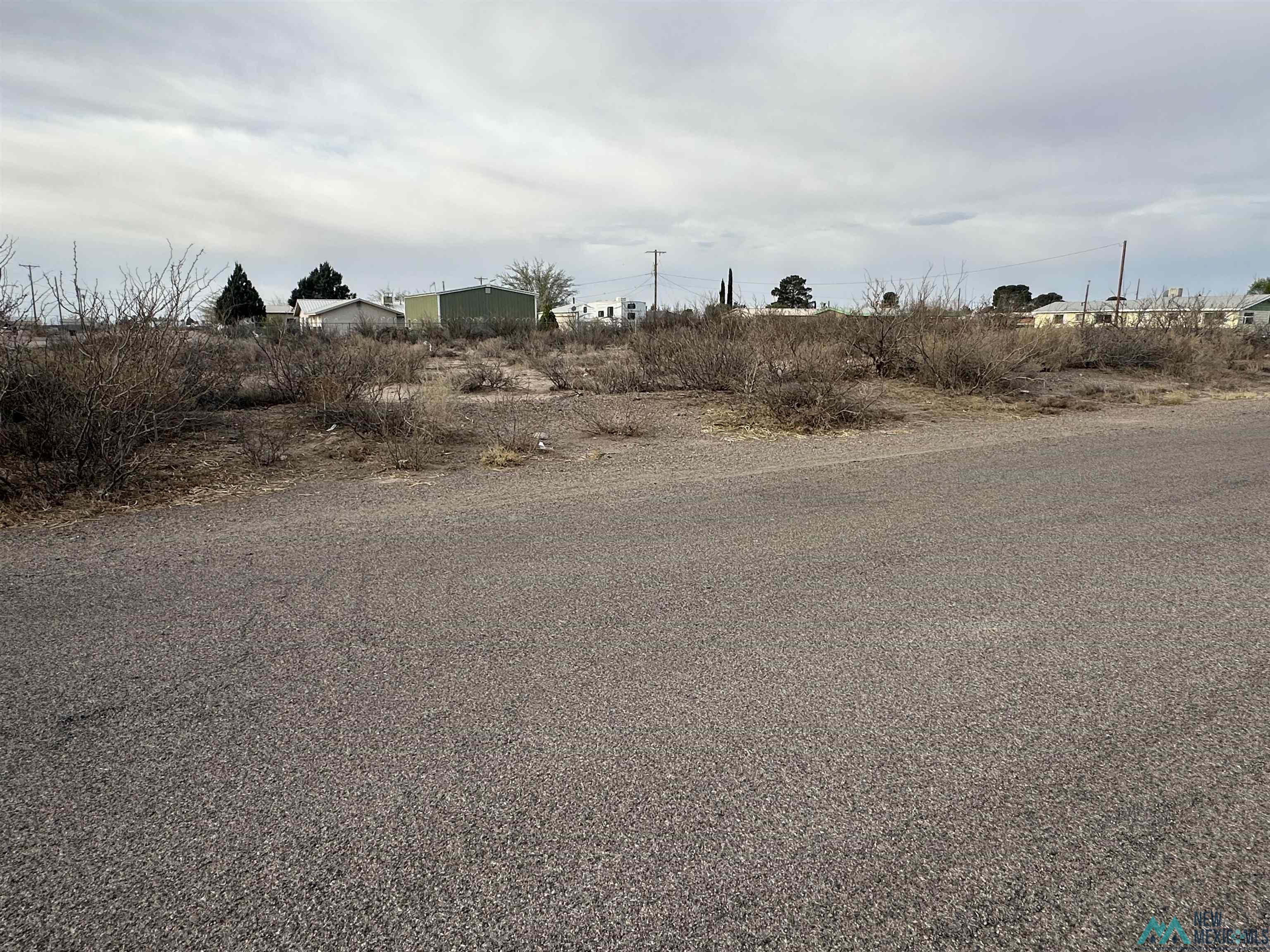 XXXX E Peach Street, Deming, Texas image 8