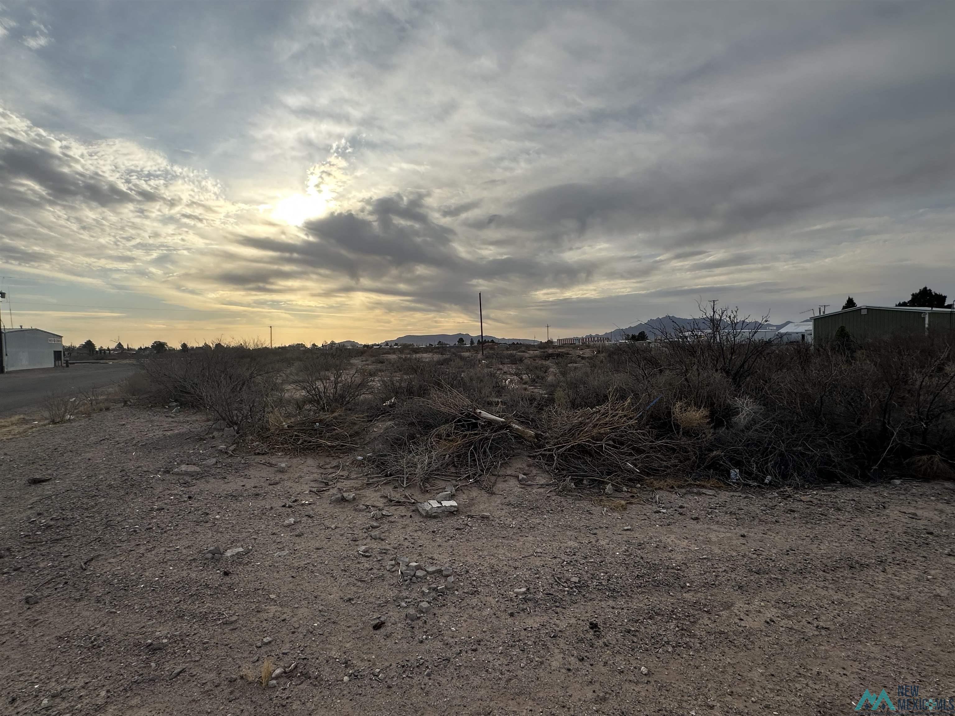 XXXX E Peach Street, Deming, Texas image 14