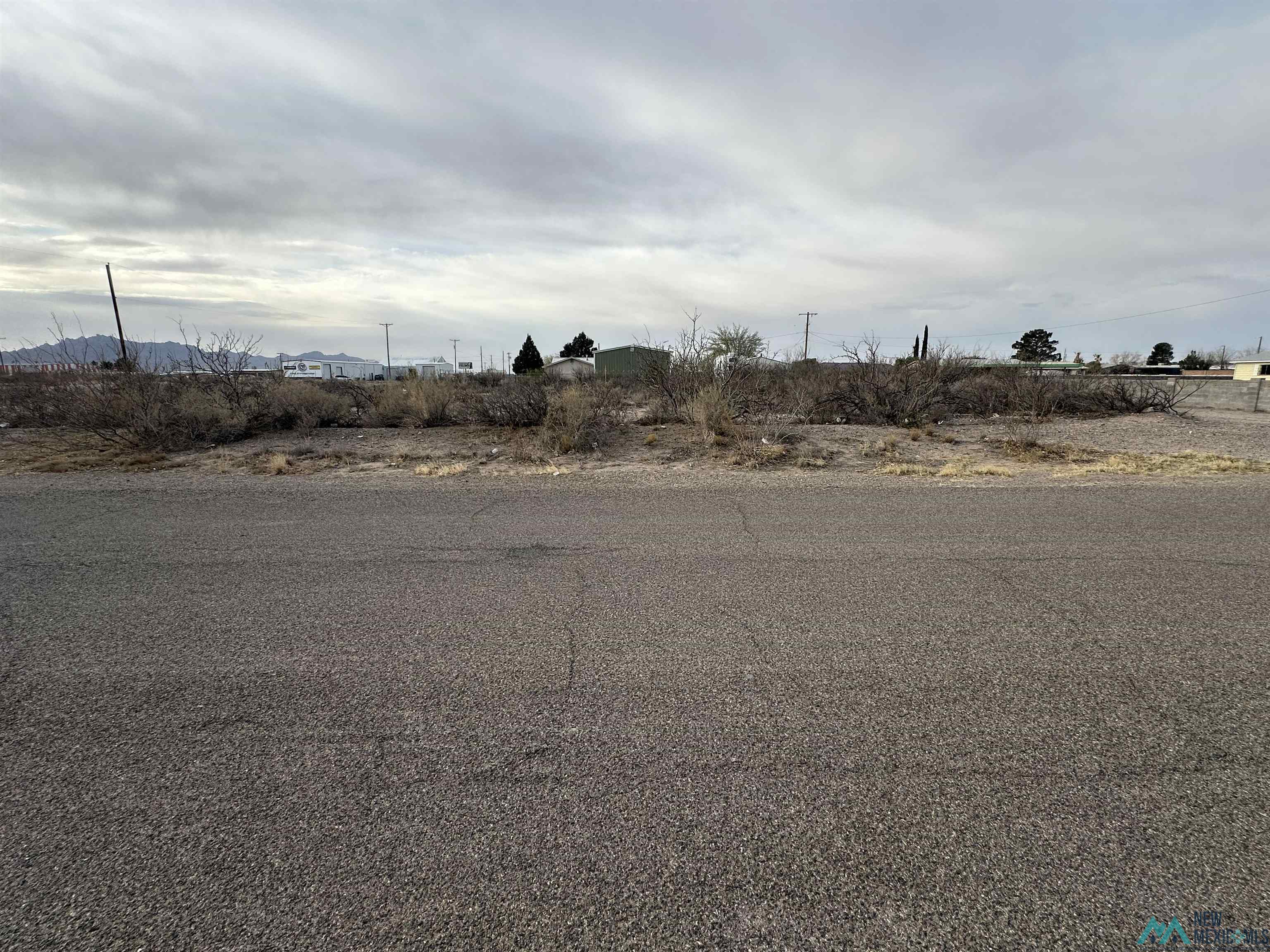 XXXX E Peach Street, Deming, Texas image 7