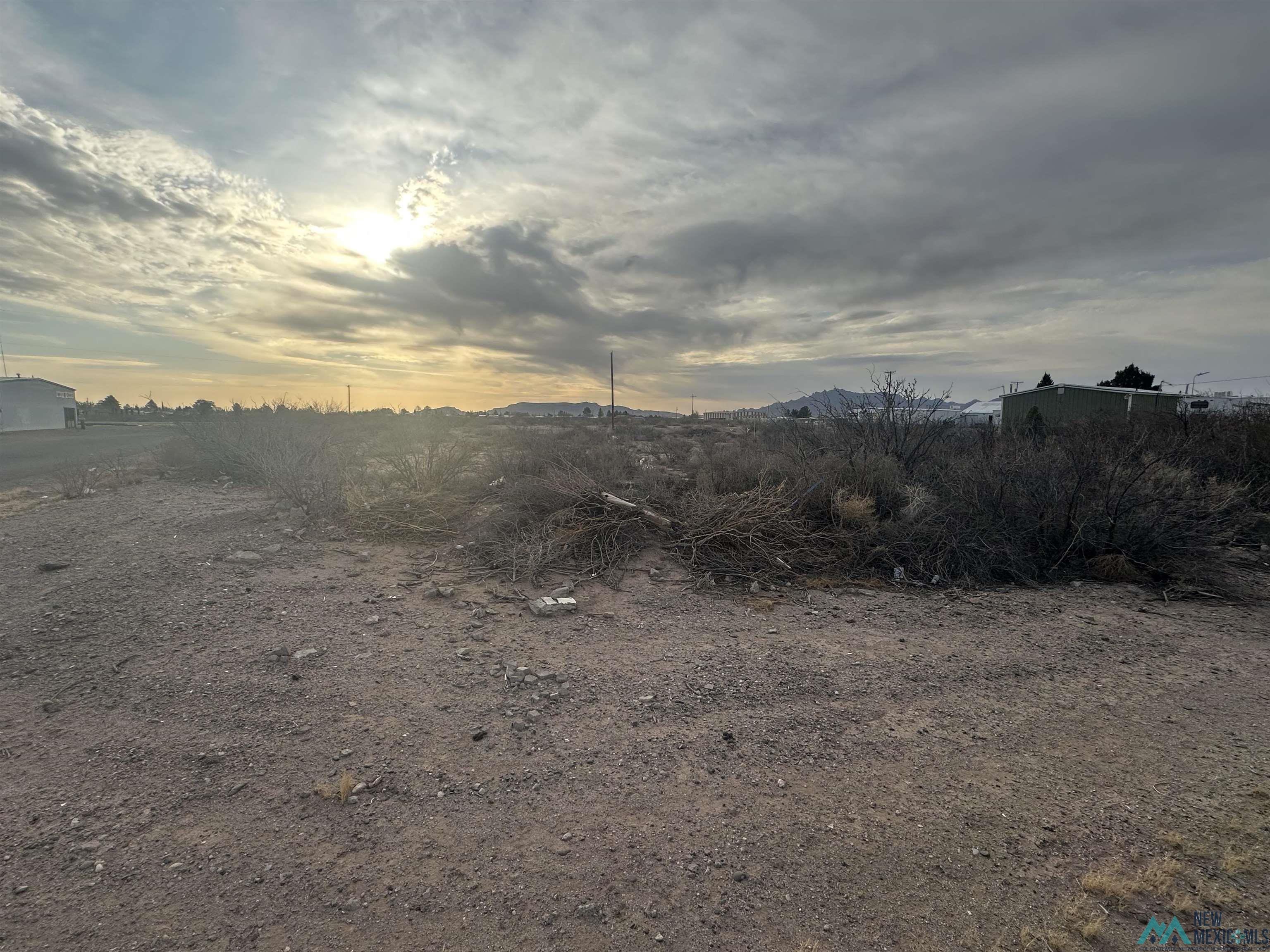 XXXX E Peach Street, Deming, Texas image 18