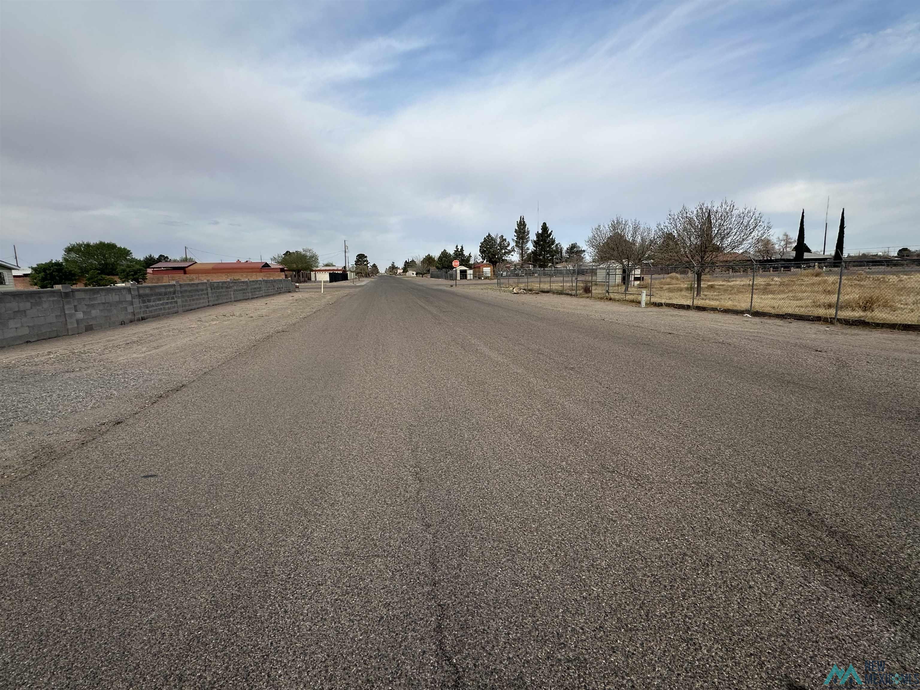 XXXX E Peach Street, Deming, Texas image 9