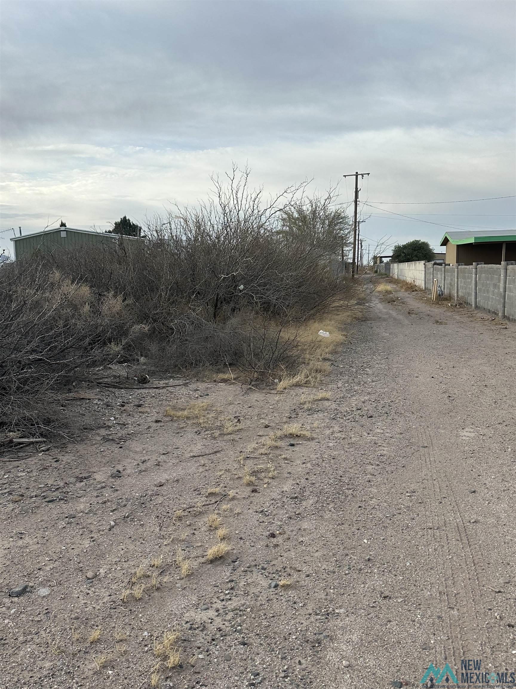 XXXX E Peach Street, Deming, Texas image 16