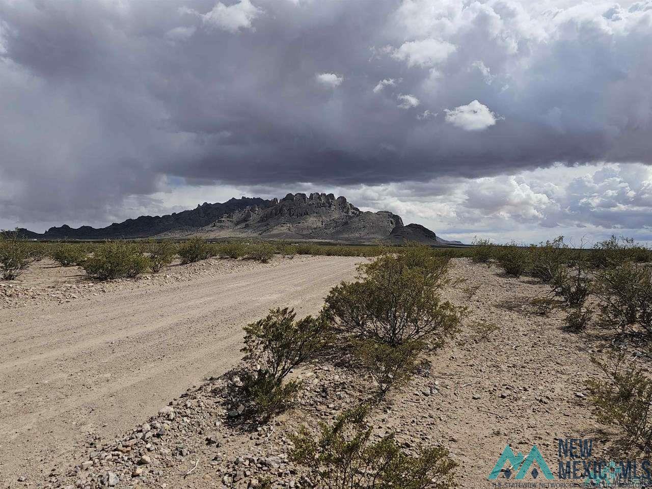 SE San Pedro Road, Deming, New Mexico image 1