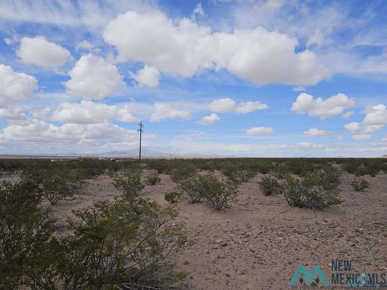 SE San Pedro Road, Deming, New Mexico image 3