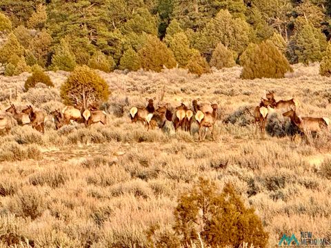 Vacant Land For Sale - HIGHWAY 96 & 595 Highway<br/> Regina, NM 87017