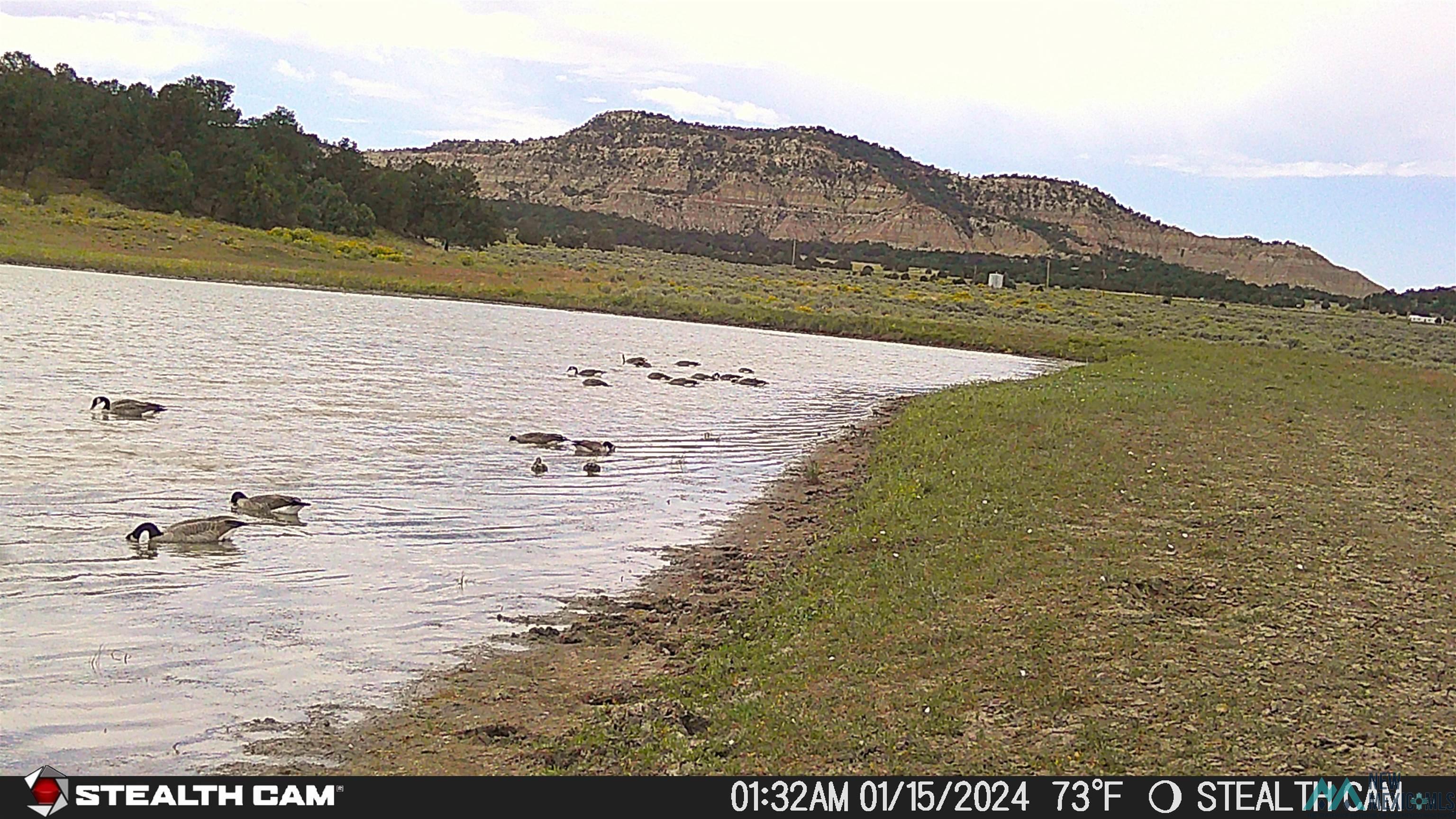000 96 & 595 Highway, Regina, New Mexico image 9
