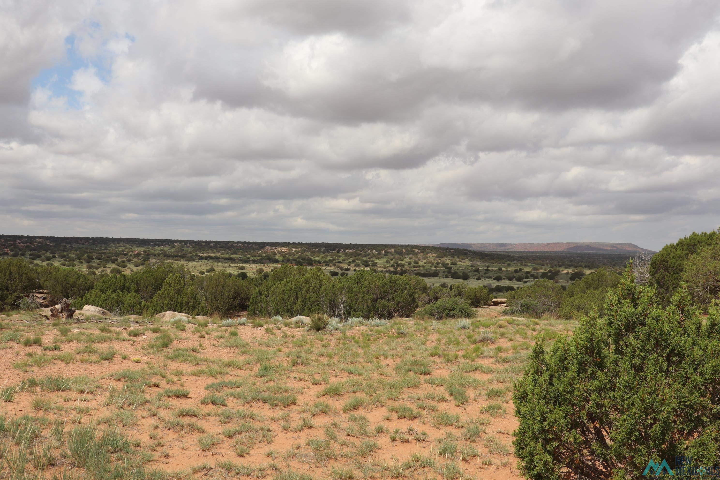 2600 Pajarito Road, Newkirk, New Mexico image 26