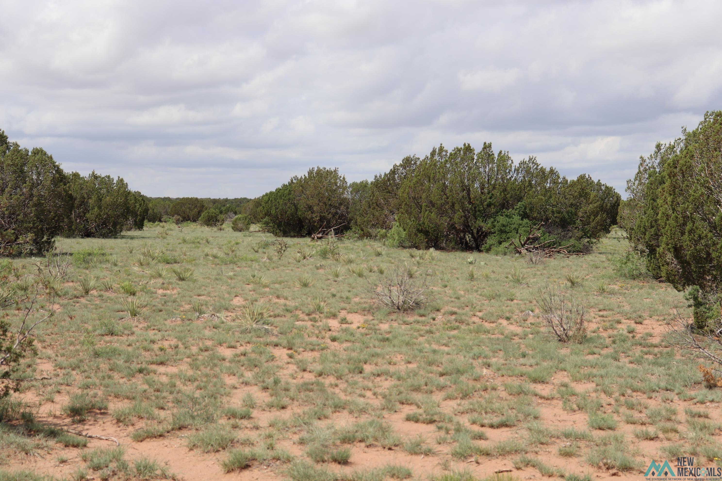 2600 Pajarito Road, Newkirk, New Mexico image 18