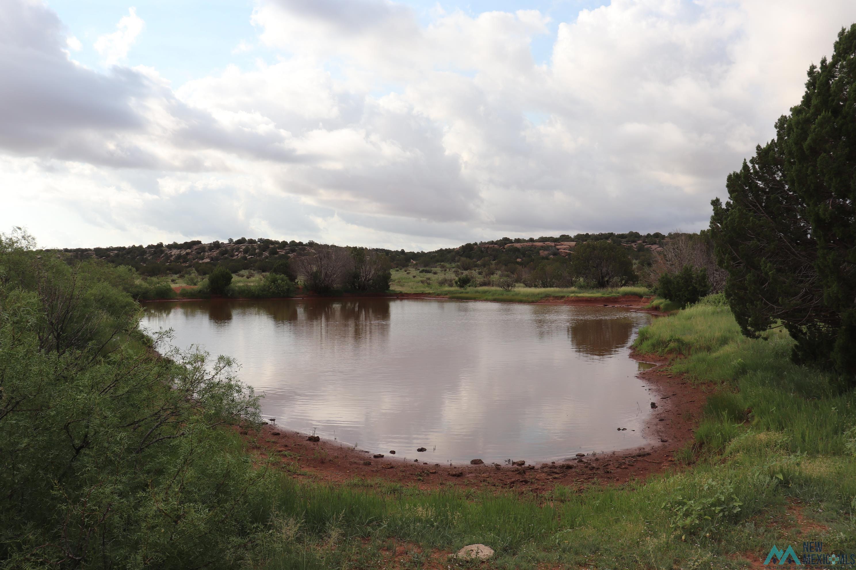 2600 Pajarito Road, Newkirk, New Mexico image 11