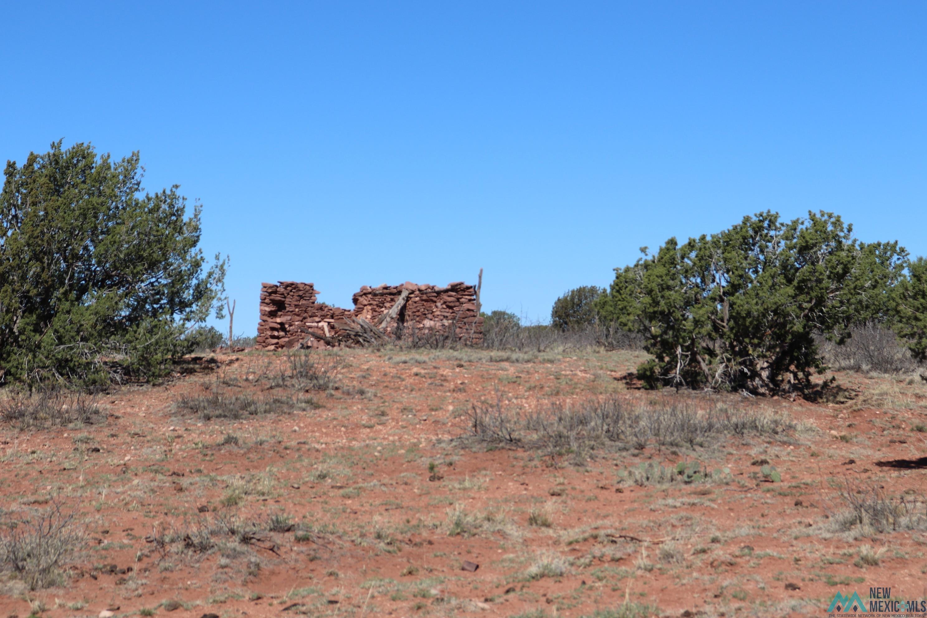 2600 Pajarito Road, Newkirk, New Mexico image 3