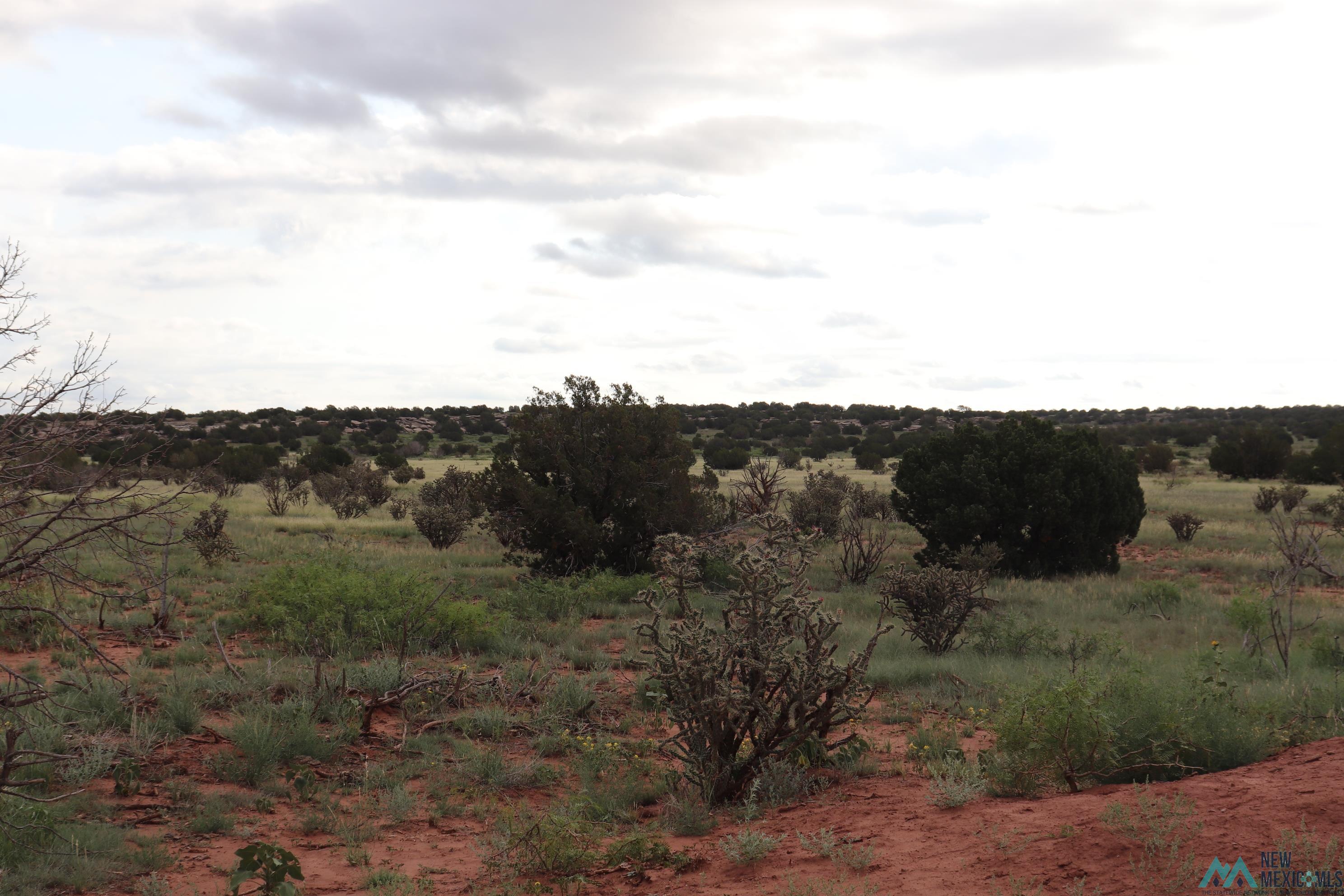 2600 Pajarito Road, Newkirk, New Mexico image 12