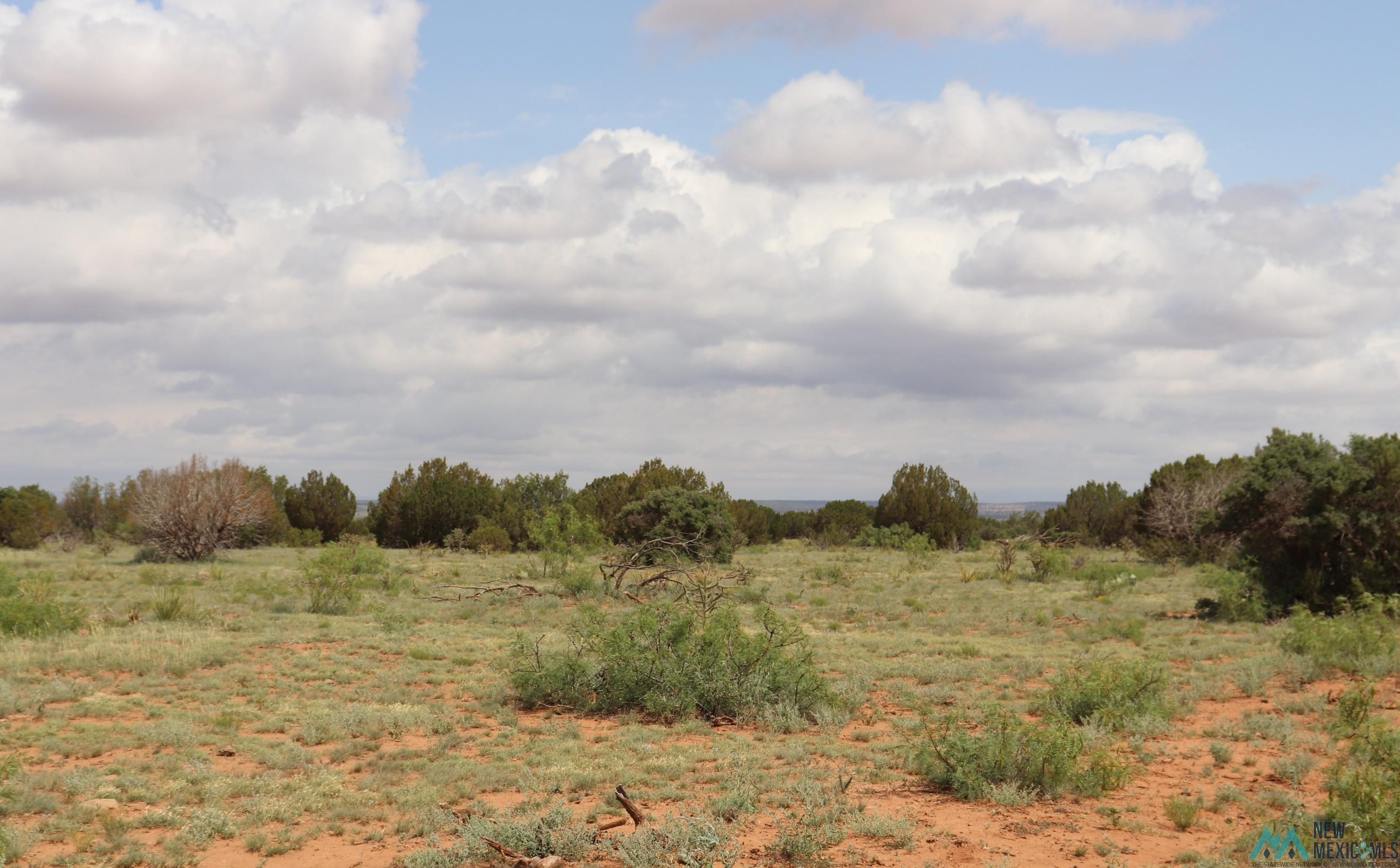 2600 Pajarito Road, Newkirk, New Mexico image 22