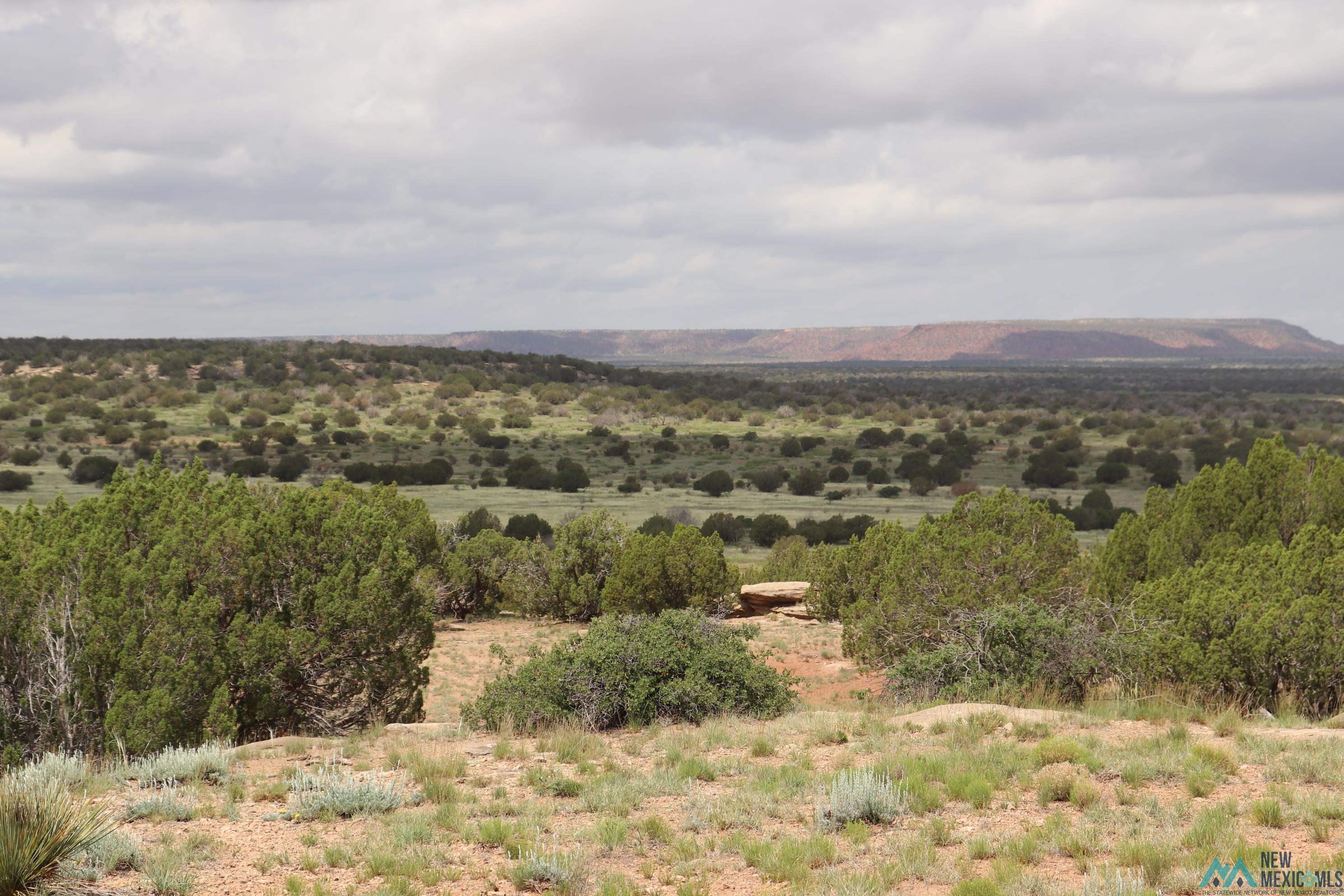 2600 Pajarito Road, Newkirk, New Mexico image 27