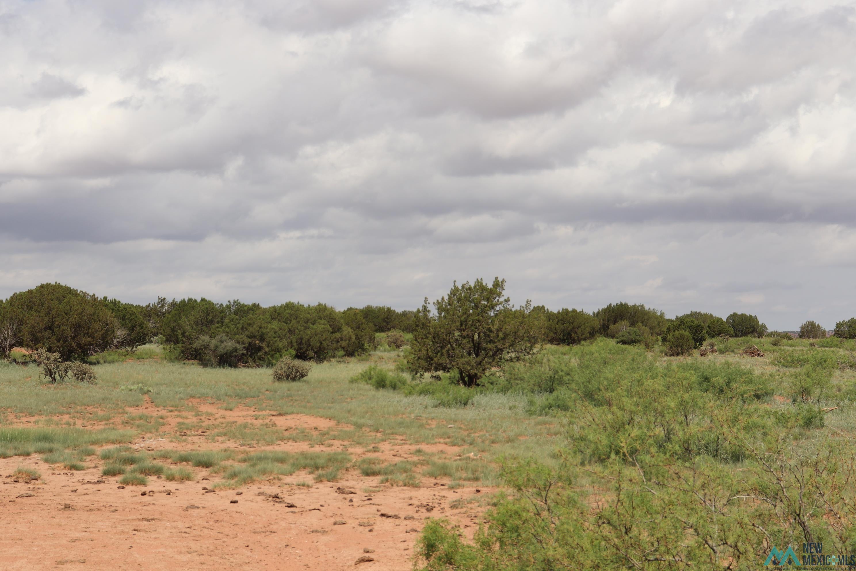 2600 Pajarito Road, Newkirk, New Mexico image 20