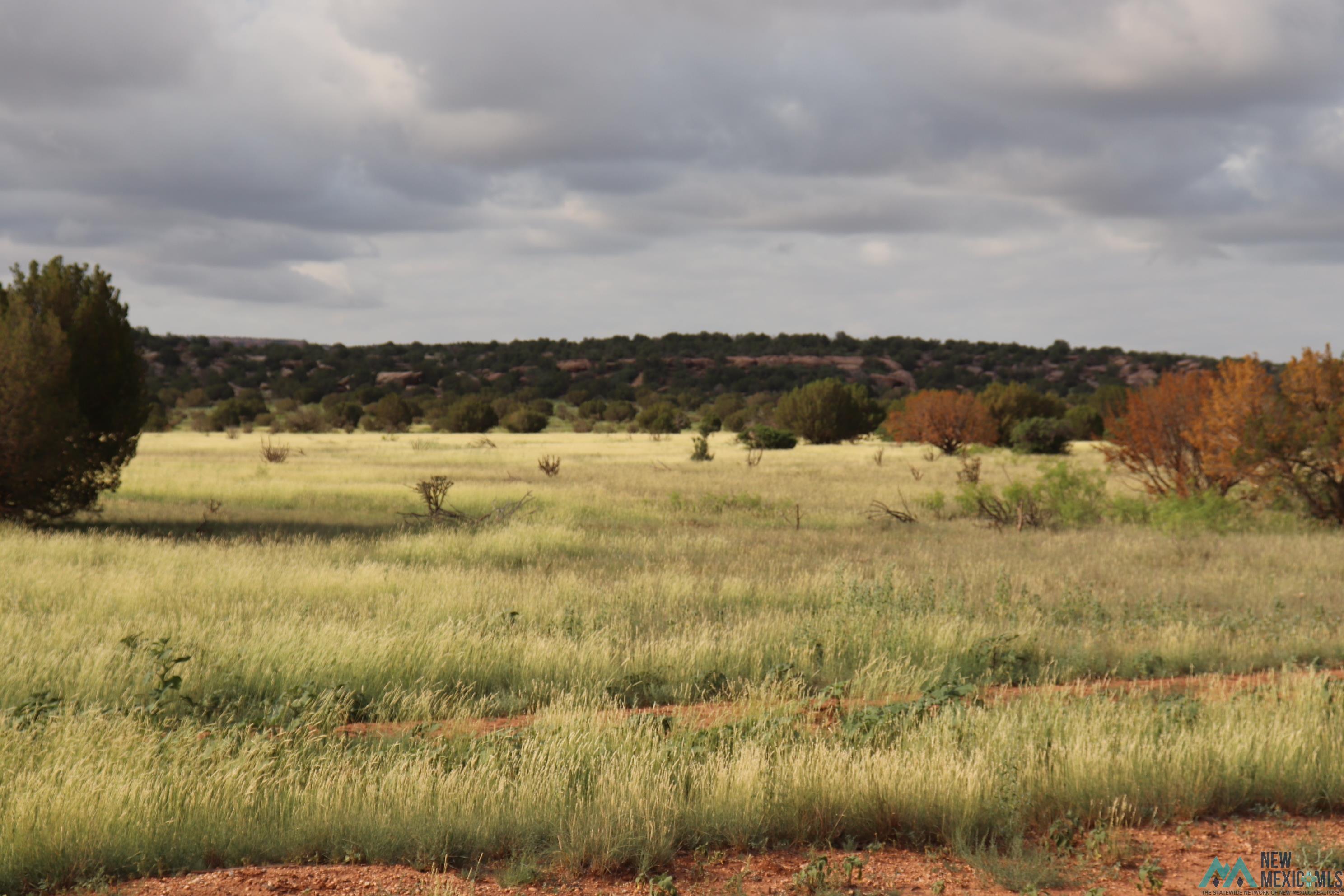 2600 Pajarito Road, Newkirk, New Mexico image 10