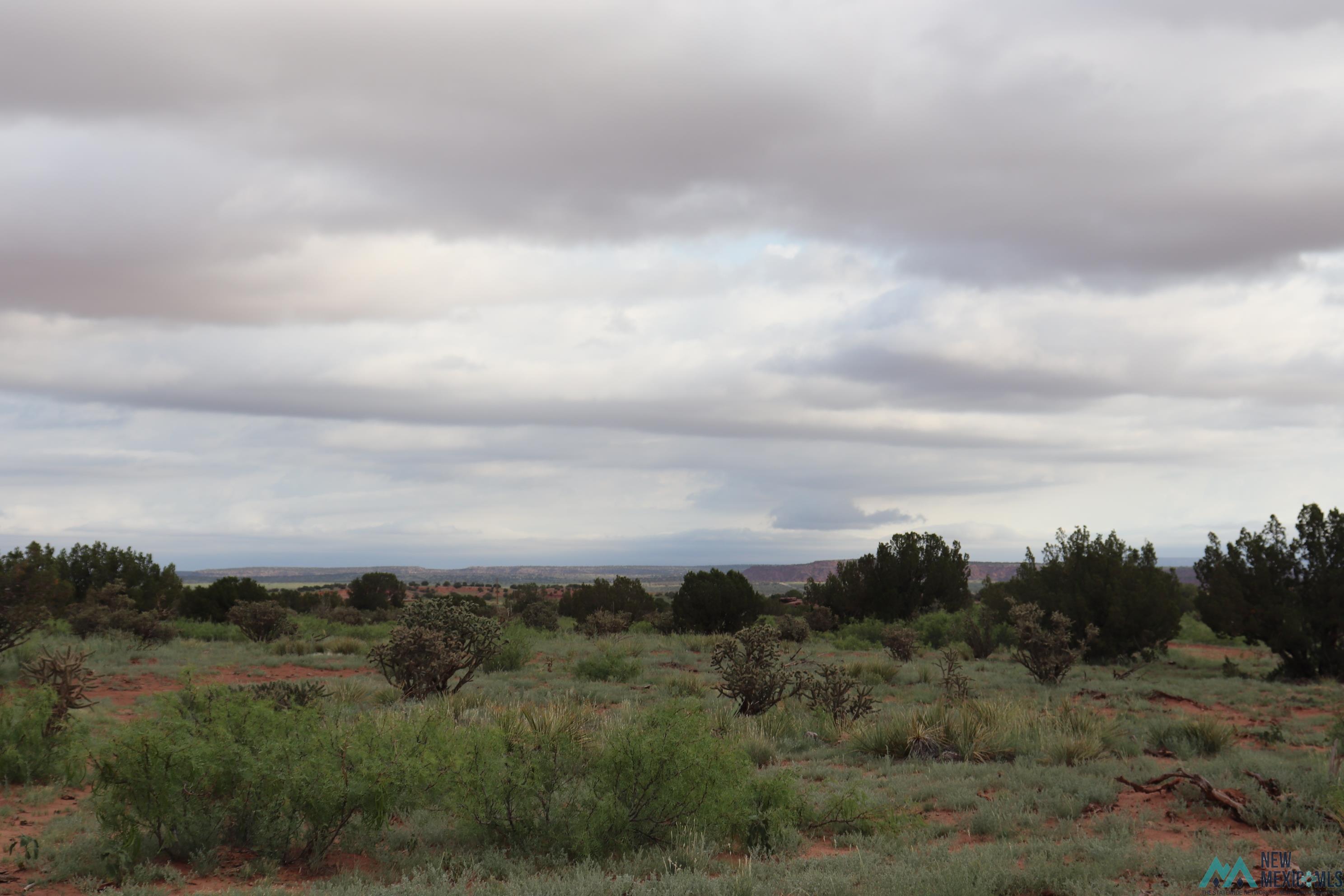 2600 Pajarito Road, Newkirk, New Mexico image 13