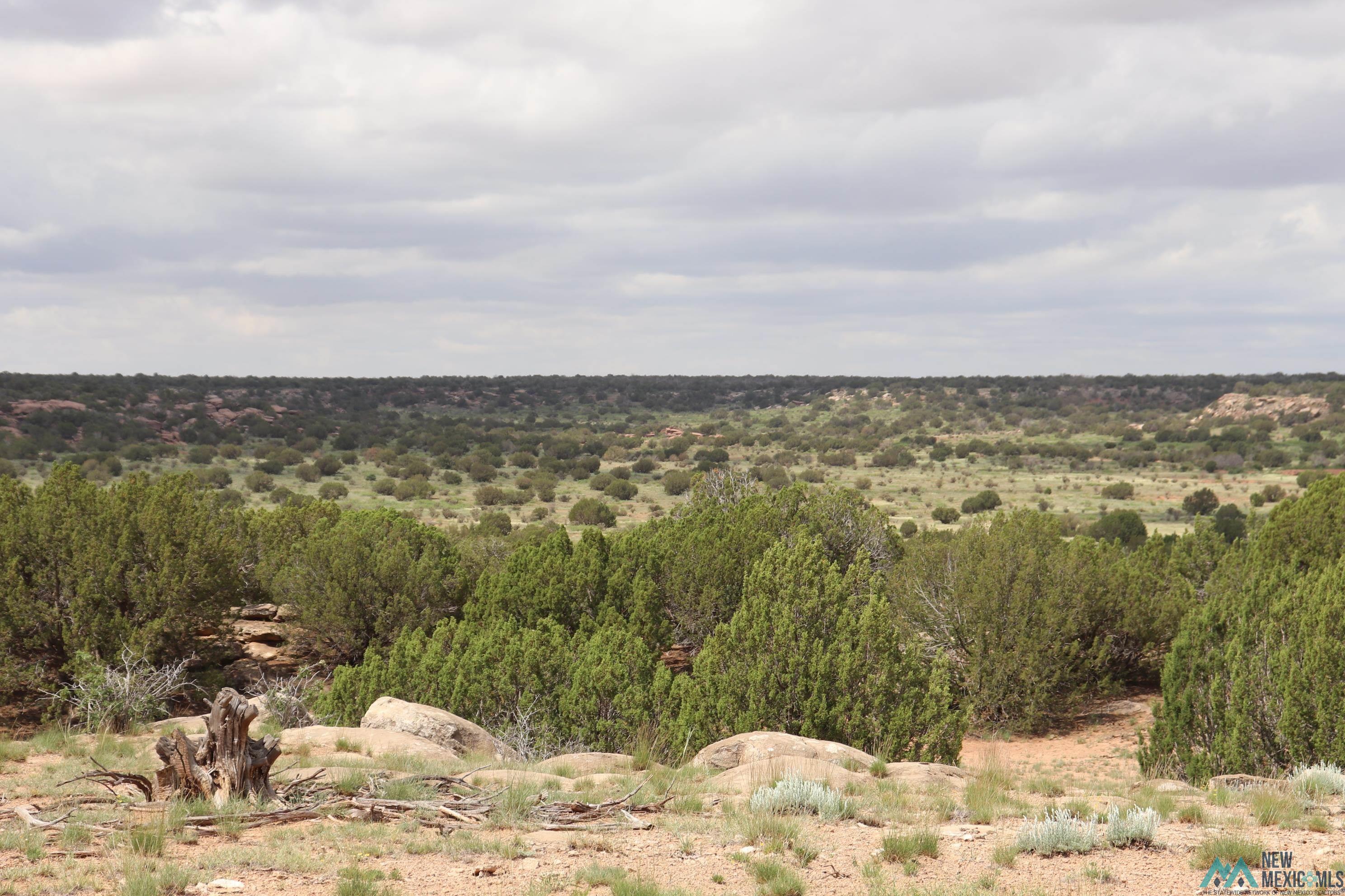 2600 Pajarito Road, Newkirk, New Mexico image 7