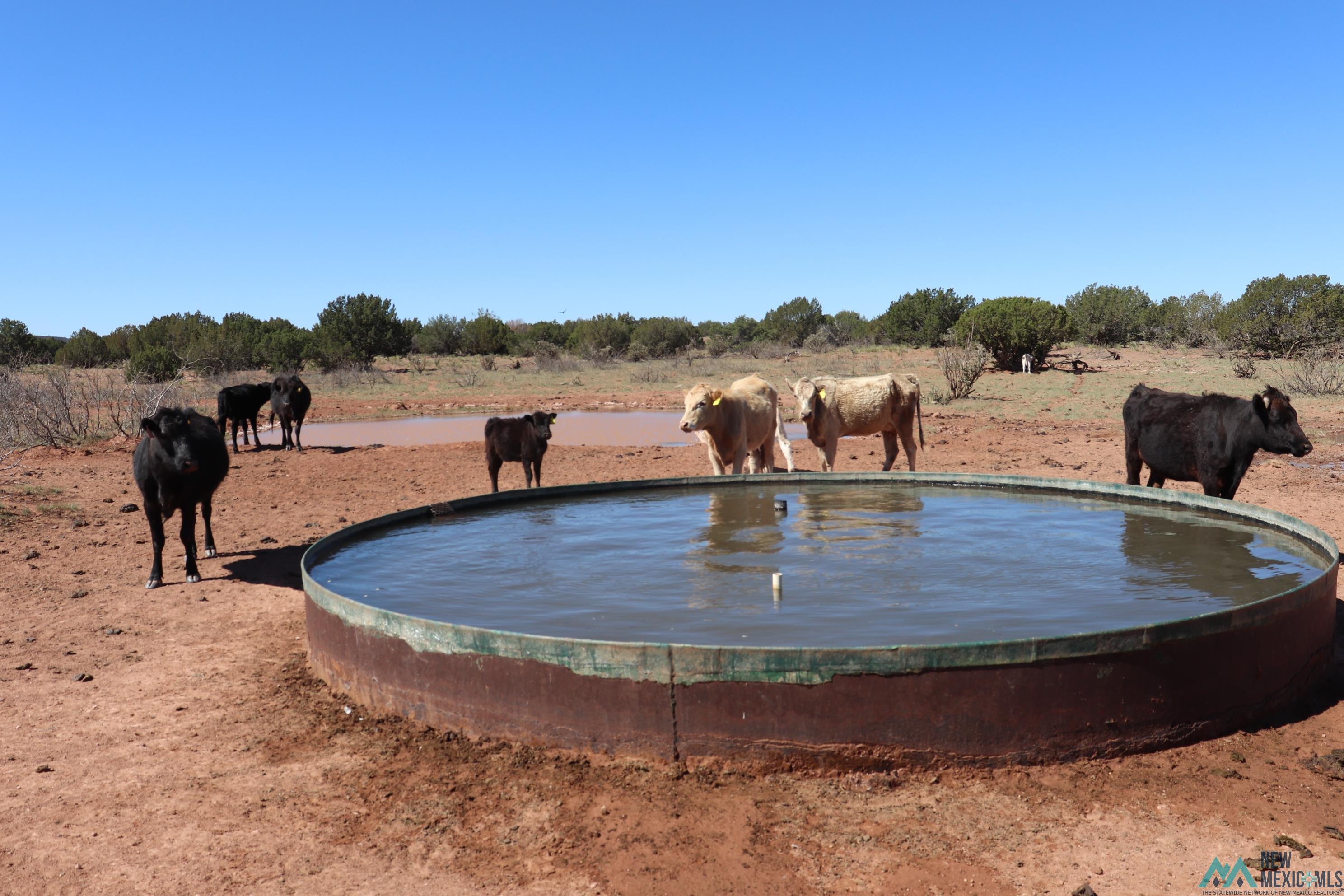 2600 Pajarito Road, Newkirk, New Mexico image 5