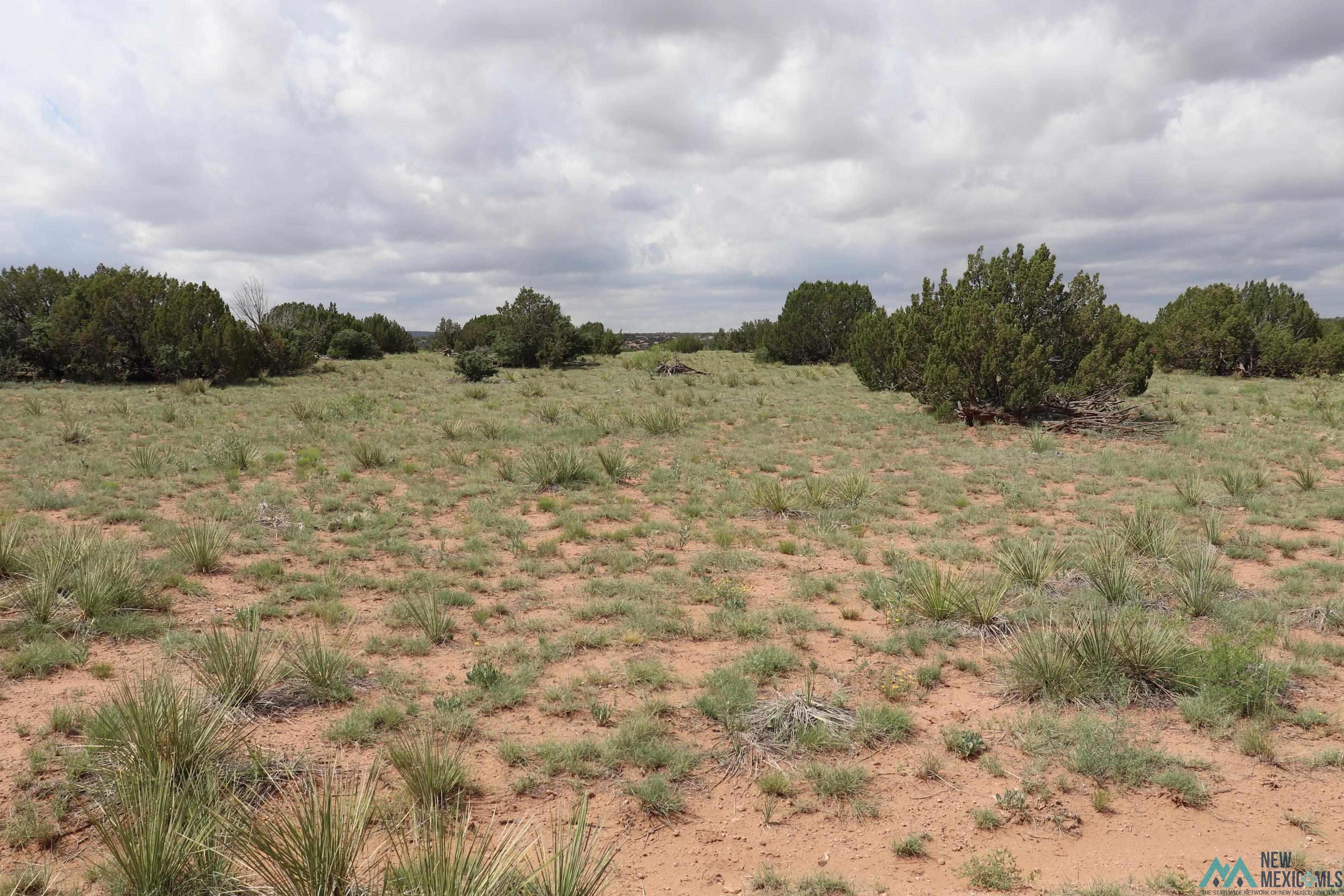 2600 Pajarito Road, Newkirk, New Mexico image 8