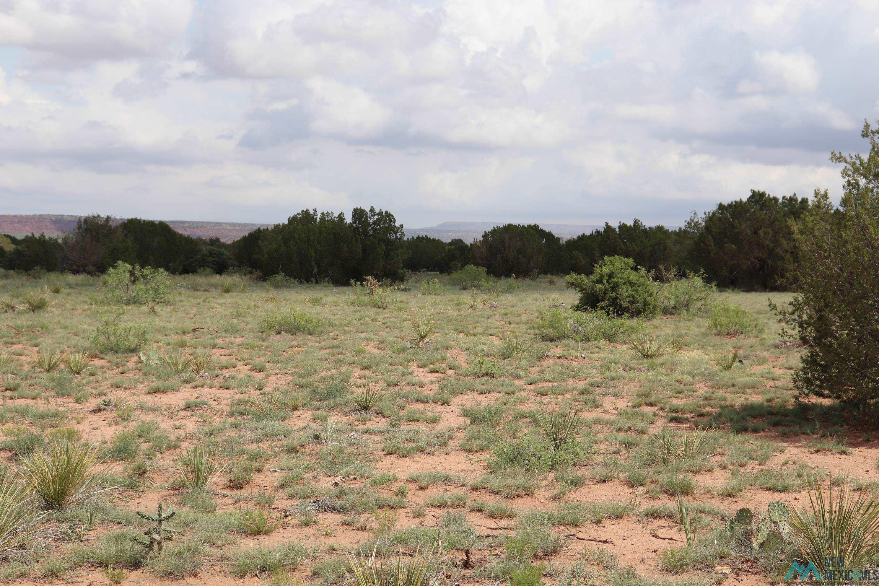 2600 Pajarito Road, Newkirk, New Mexico image 25