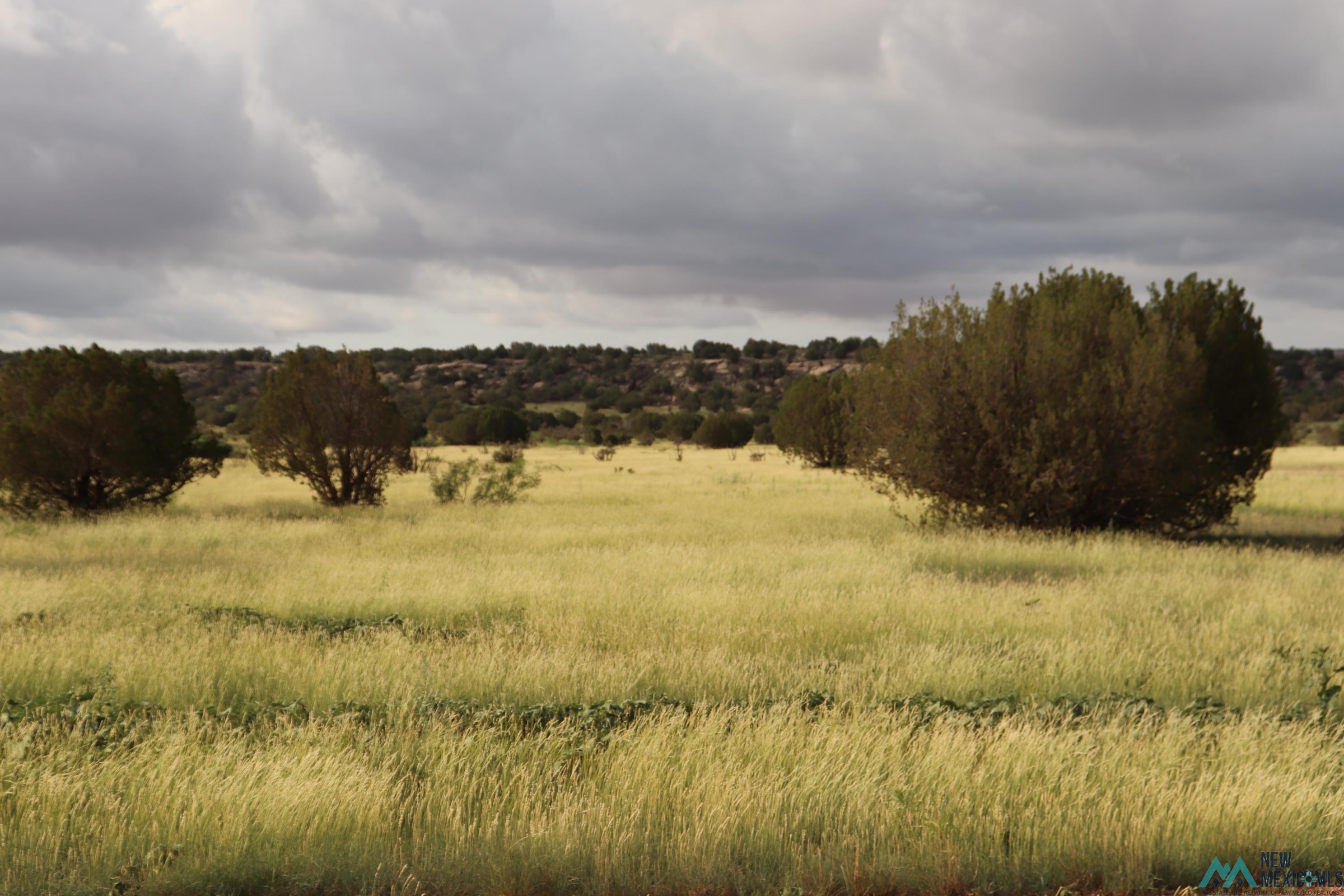 2600 Pajarito Road, Newkirk, New Mexico image 1