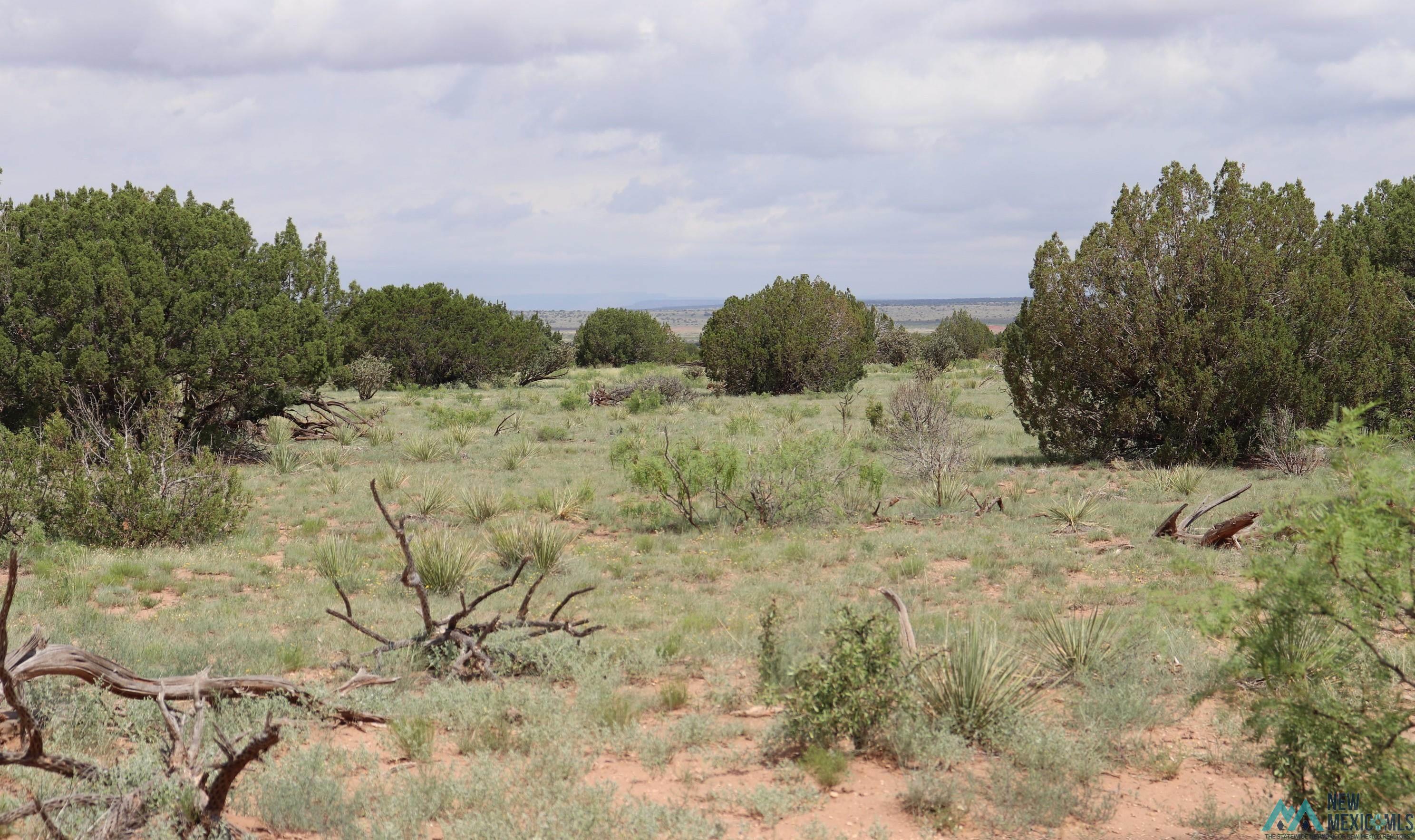 2600 Pajarito Road, Newkirk, New Mexico image 24