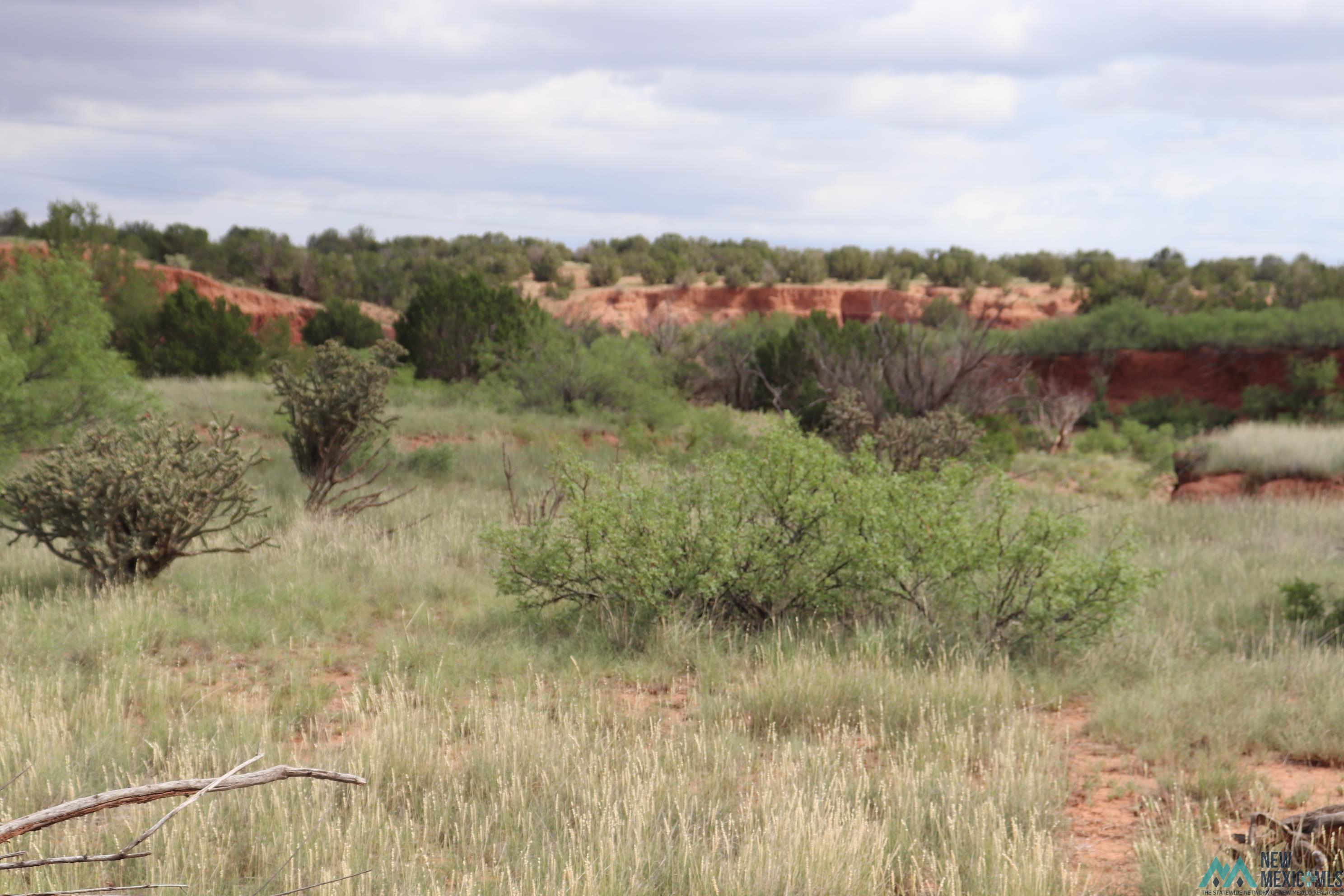 2600 Pajarito Road, Newkirk, New Mexico image 14