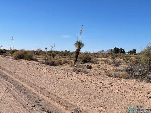 Vacant Land For Sale - XXXX Rivera Rd Sw<br/> Deming, NM 88030